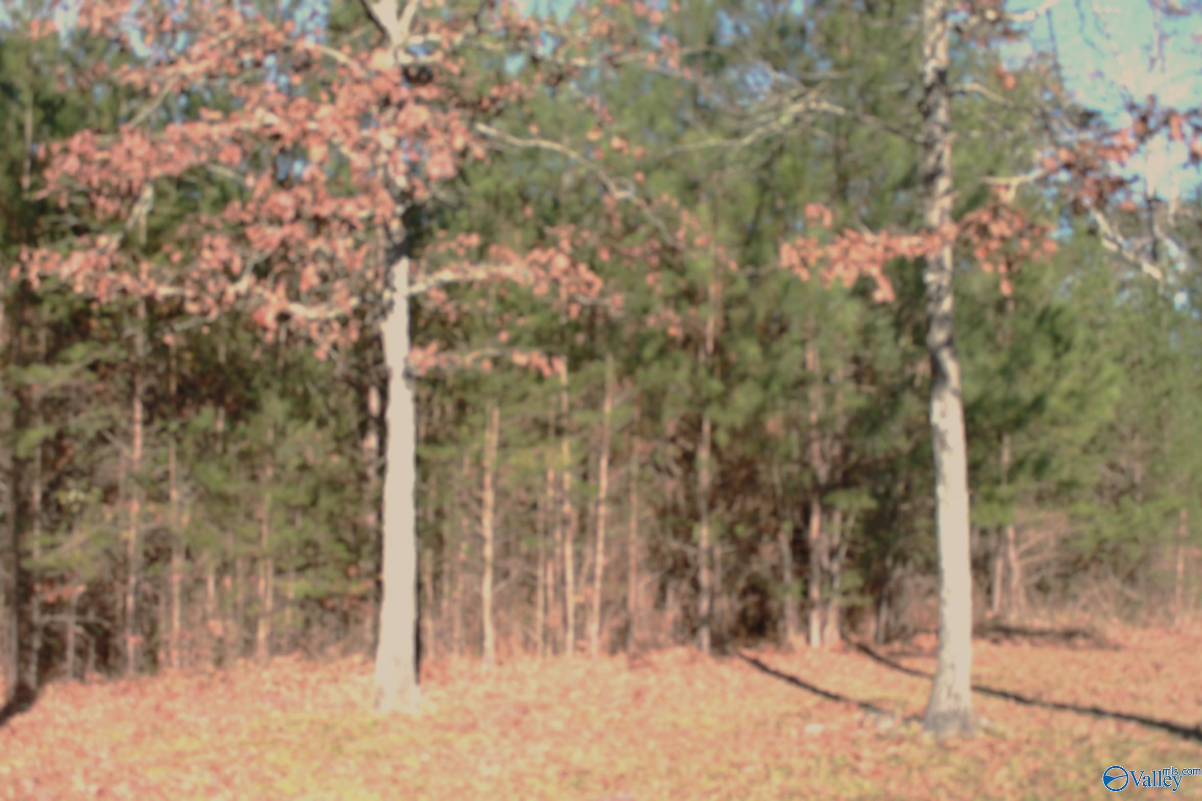 3451 County Road 107