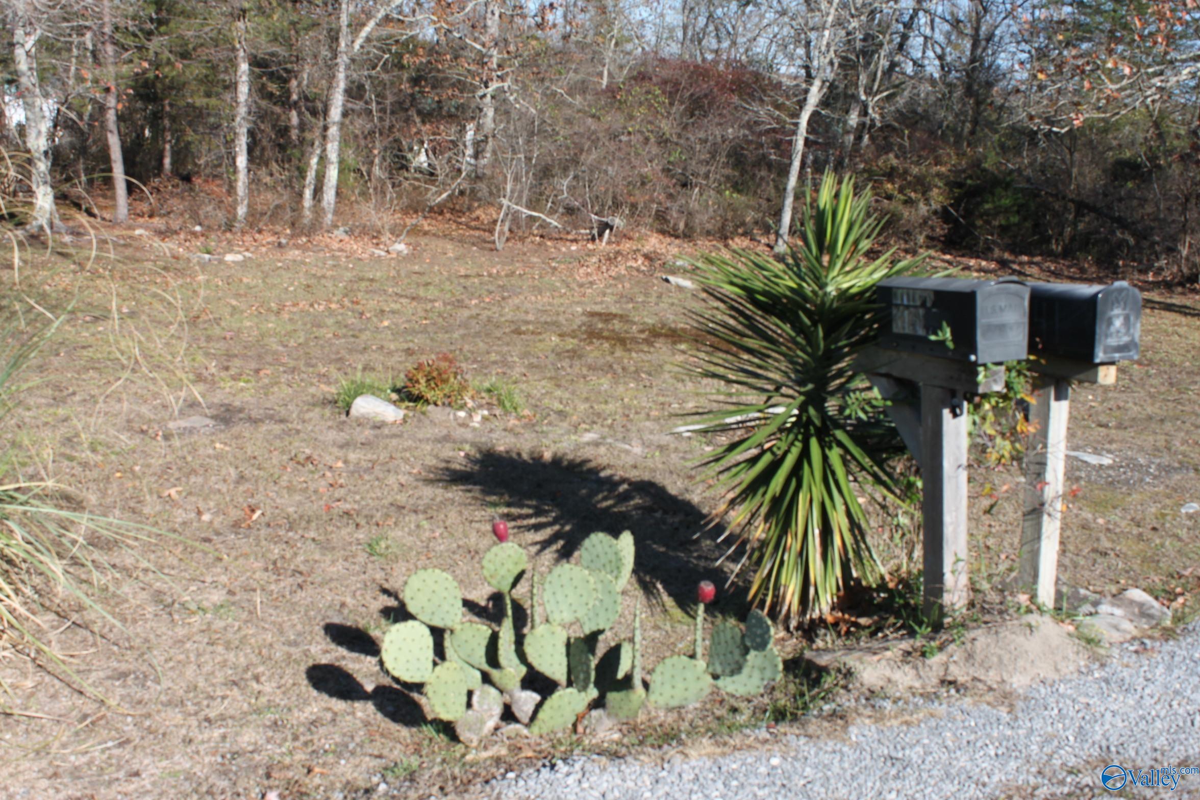 3451 County Road 107