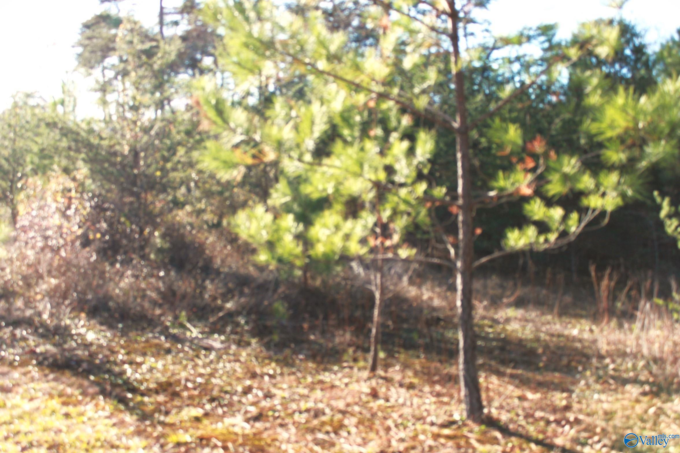 3451 County Road 107