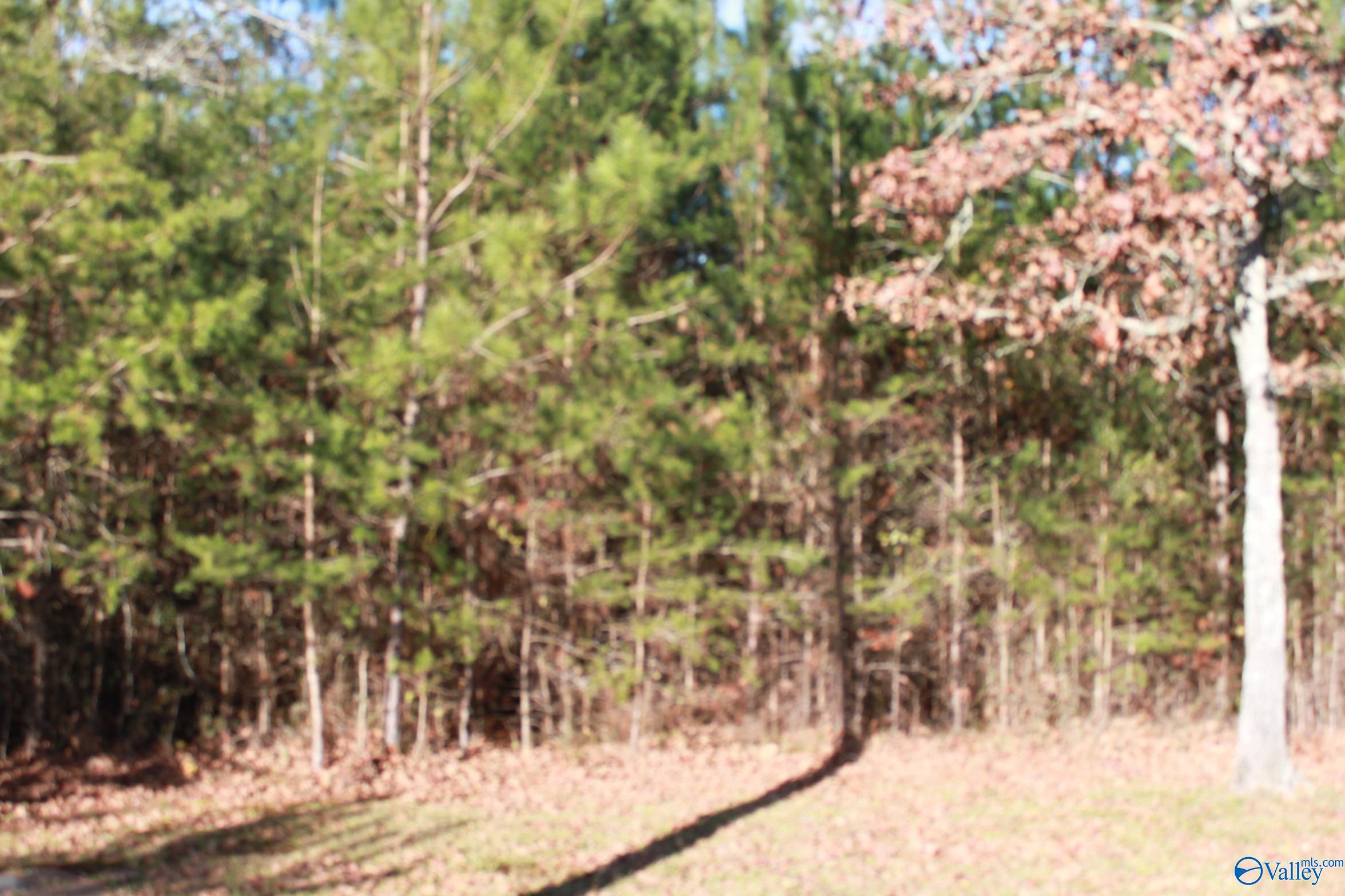 3451 County Road 107