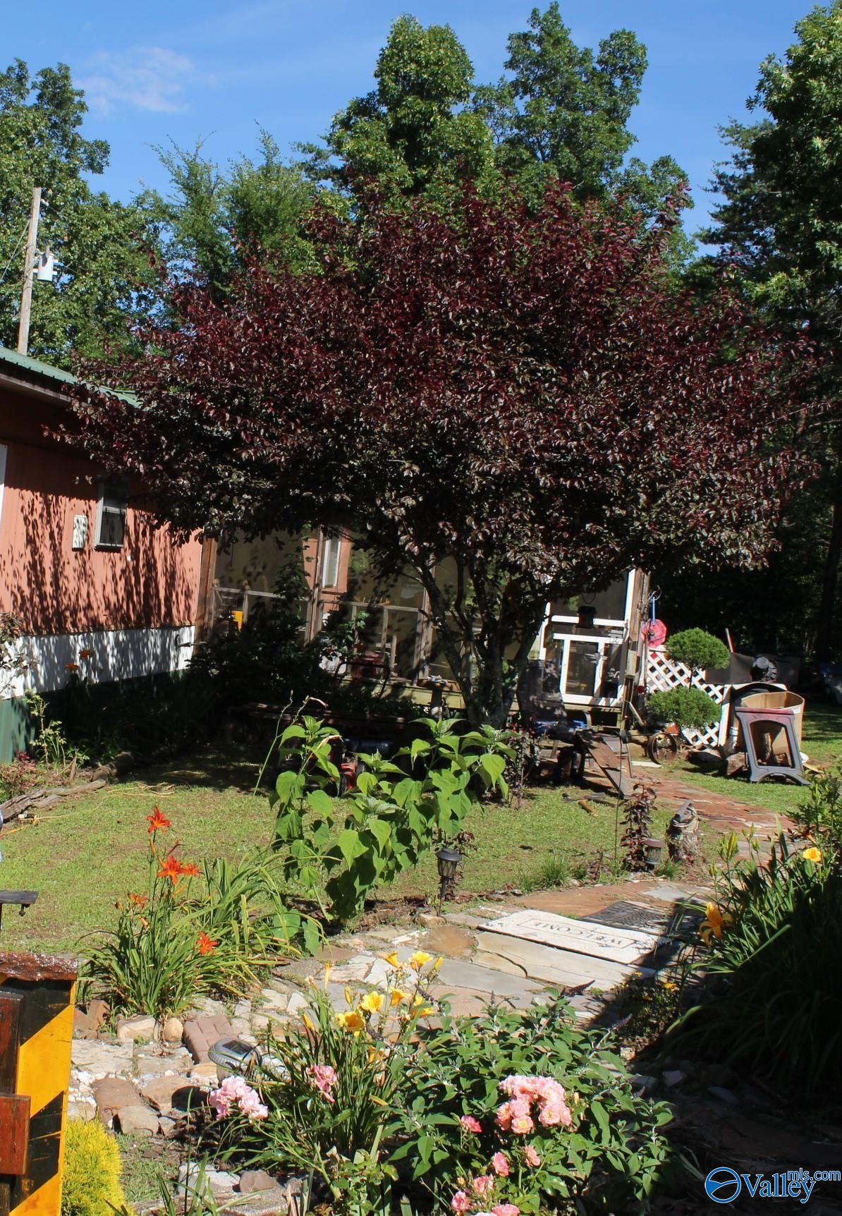 3451 County Road 107