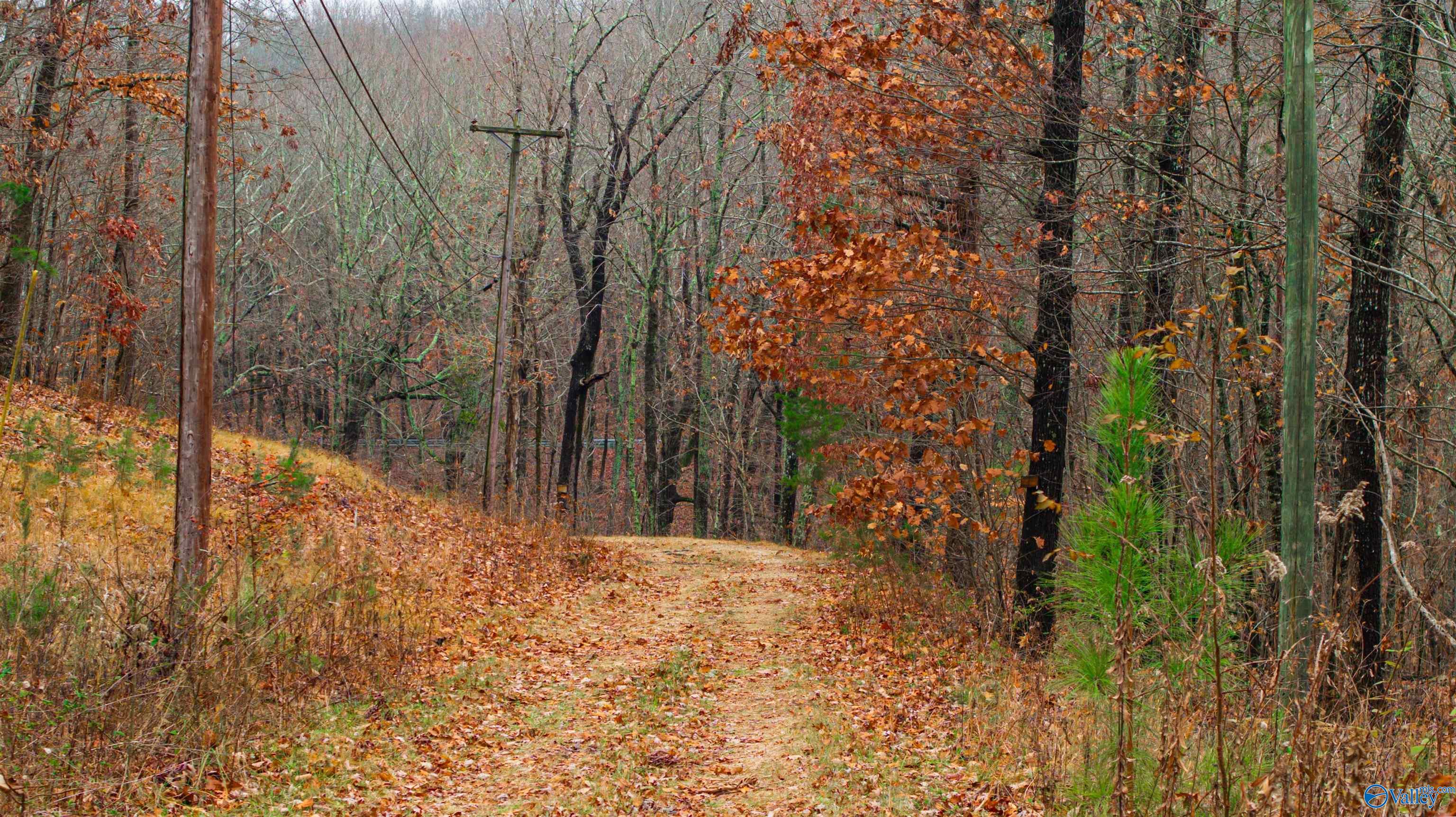 Lots Shady Lane