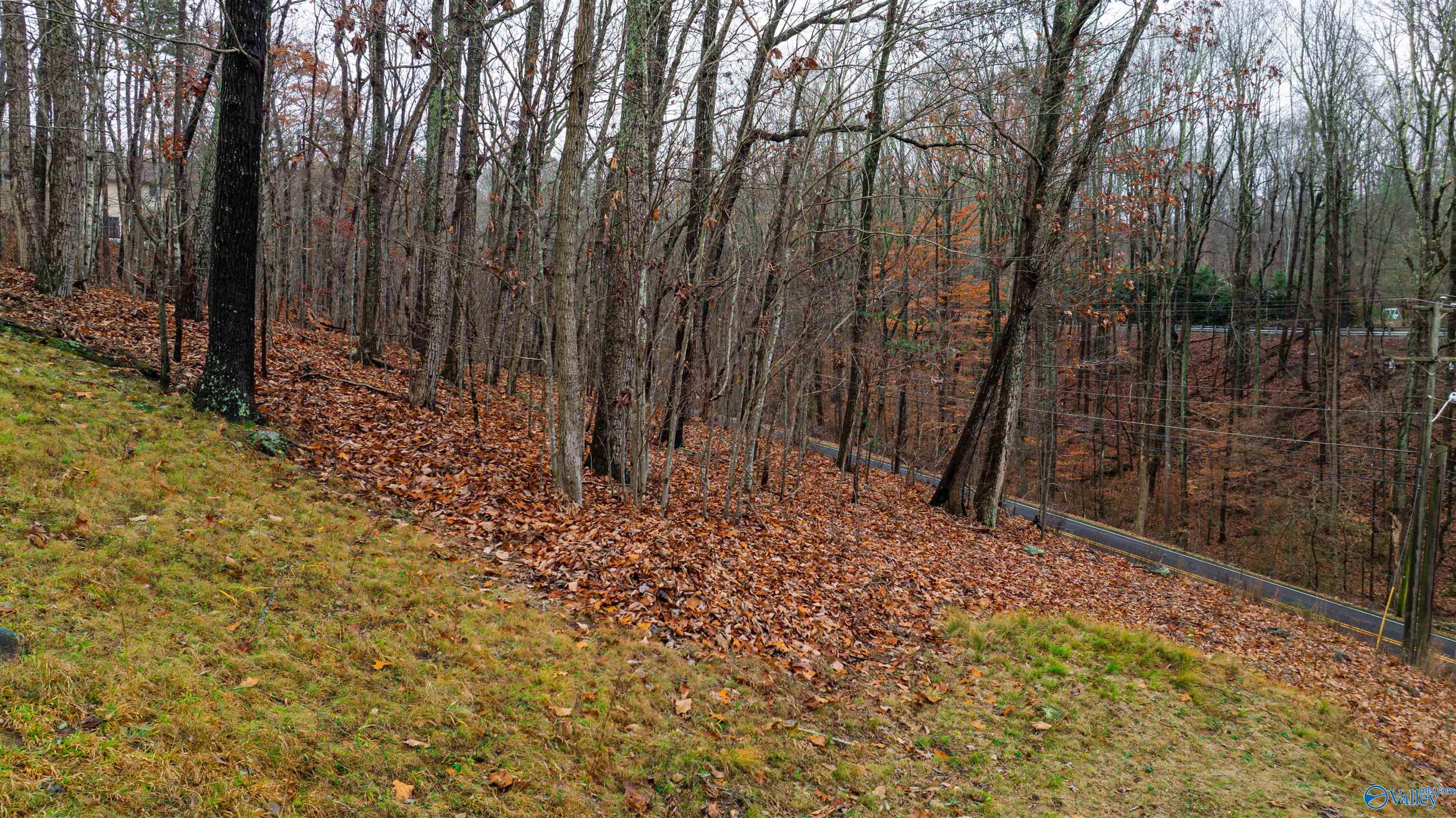 Lots Shady Lane