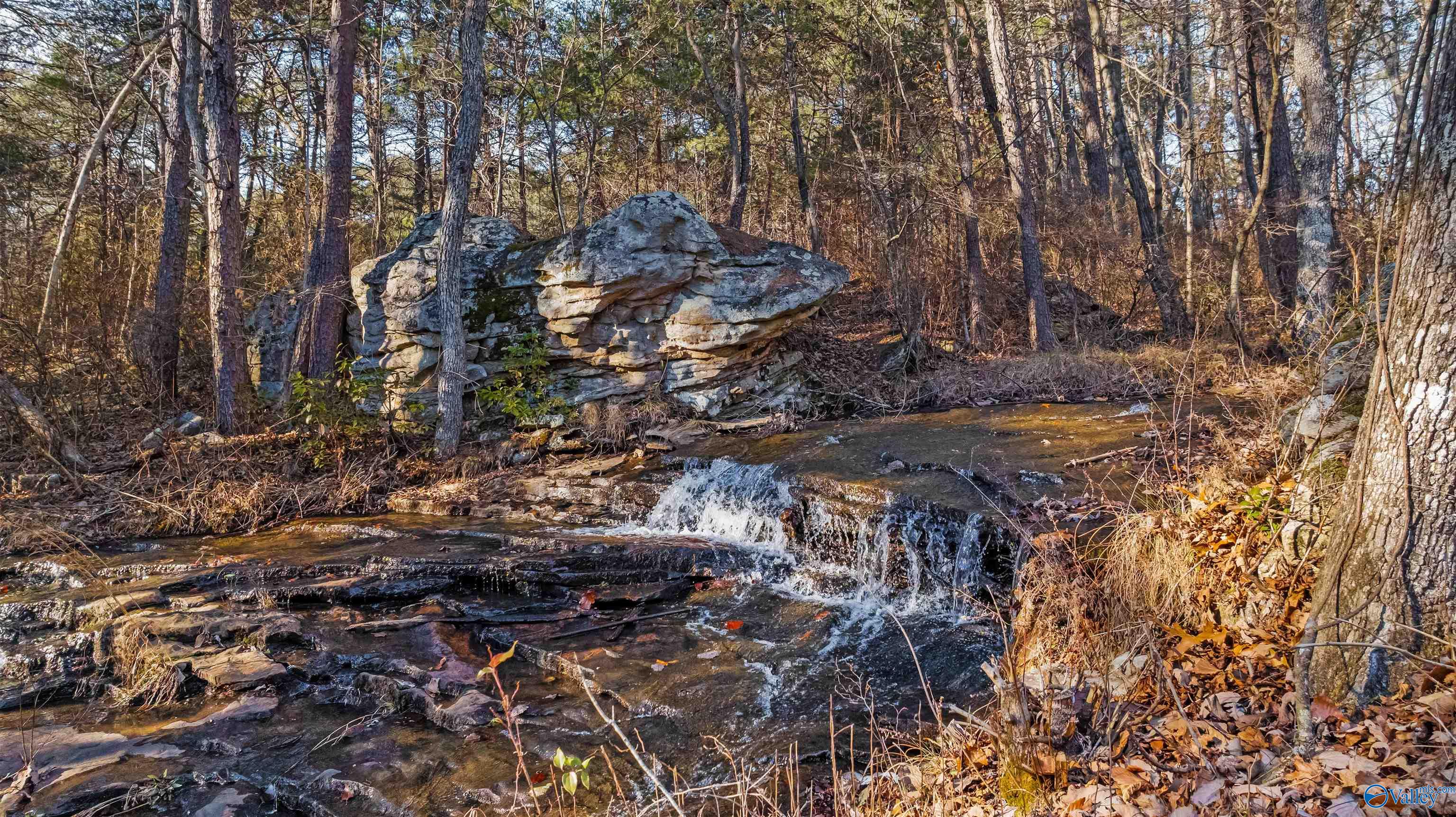 754 County Road 264