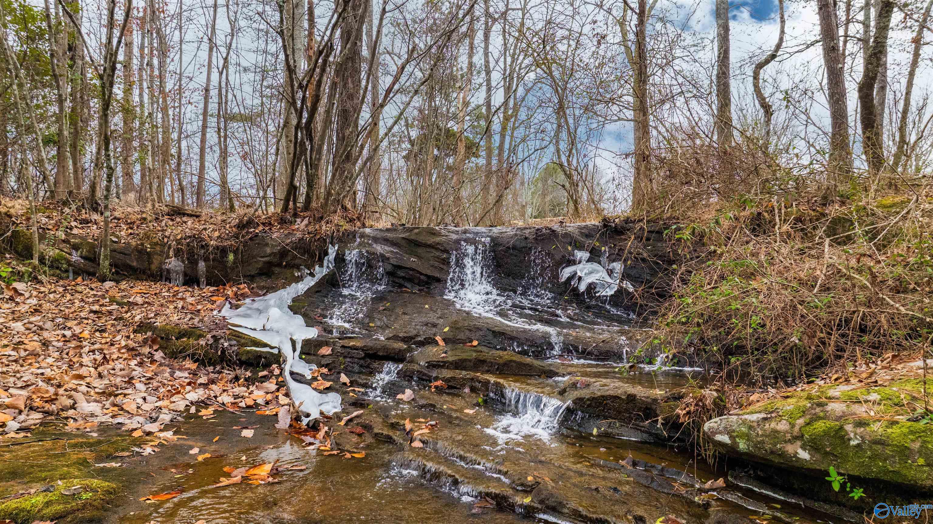 754 County Road 264