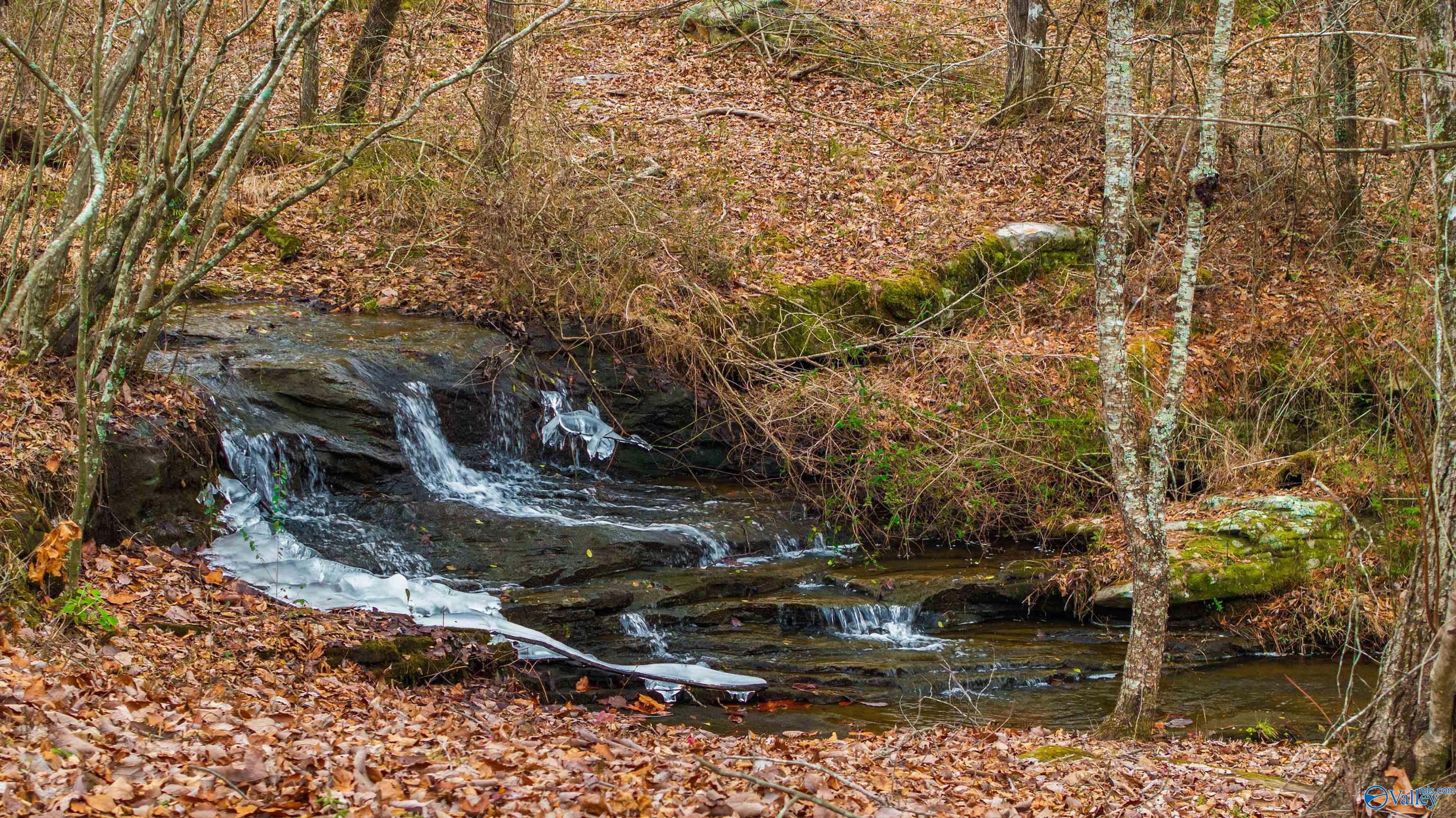 754 County Road 264