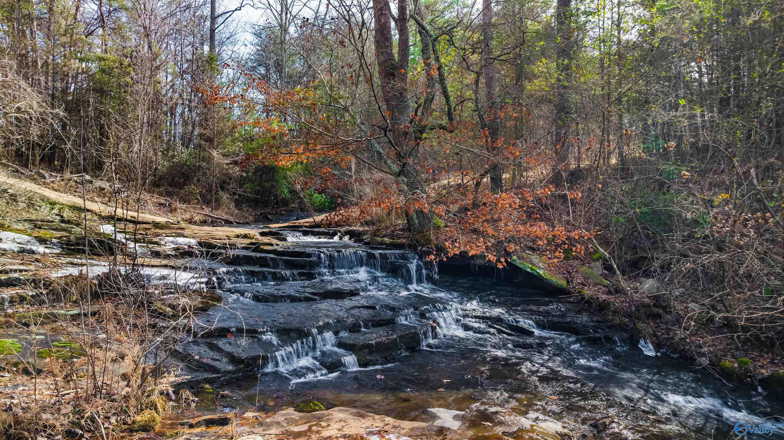 779 County Road 264