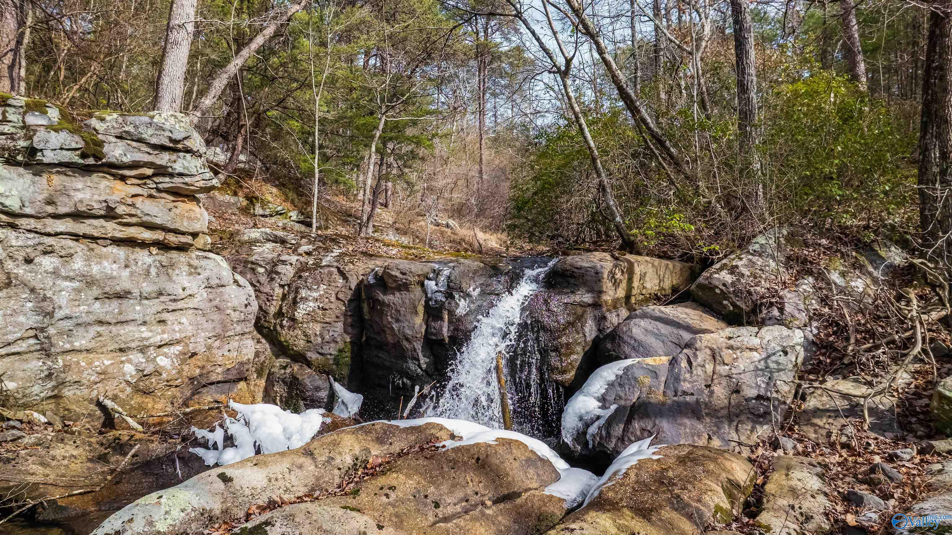779 County Road 264