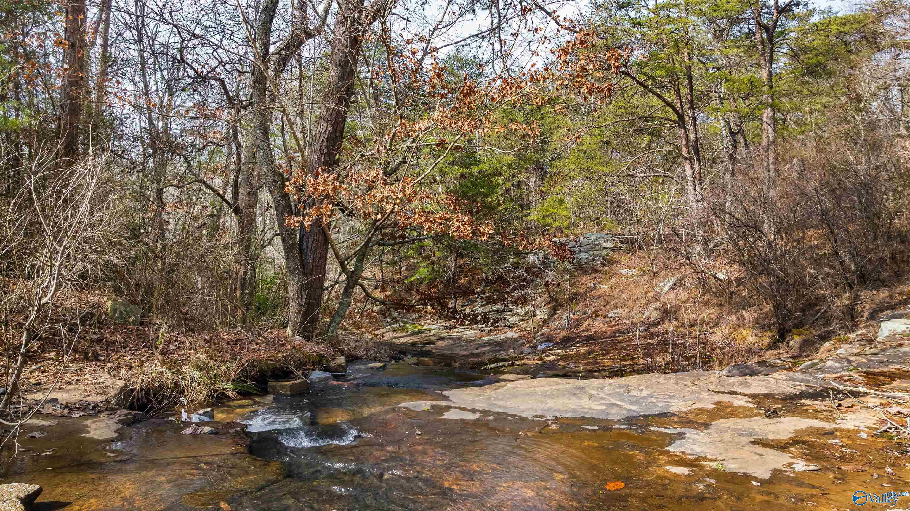 779 County Road 264