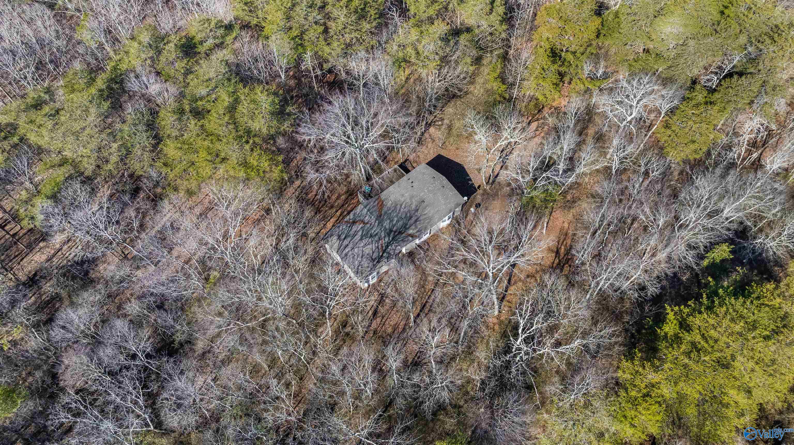 779 County Road 264