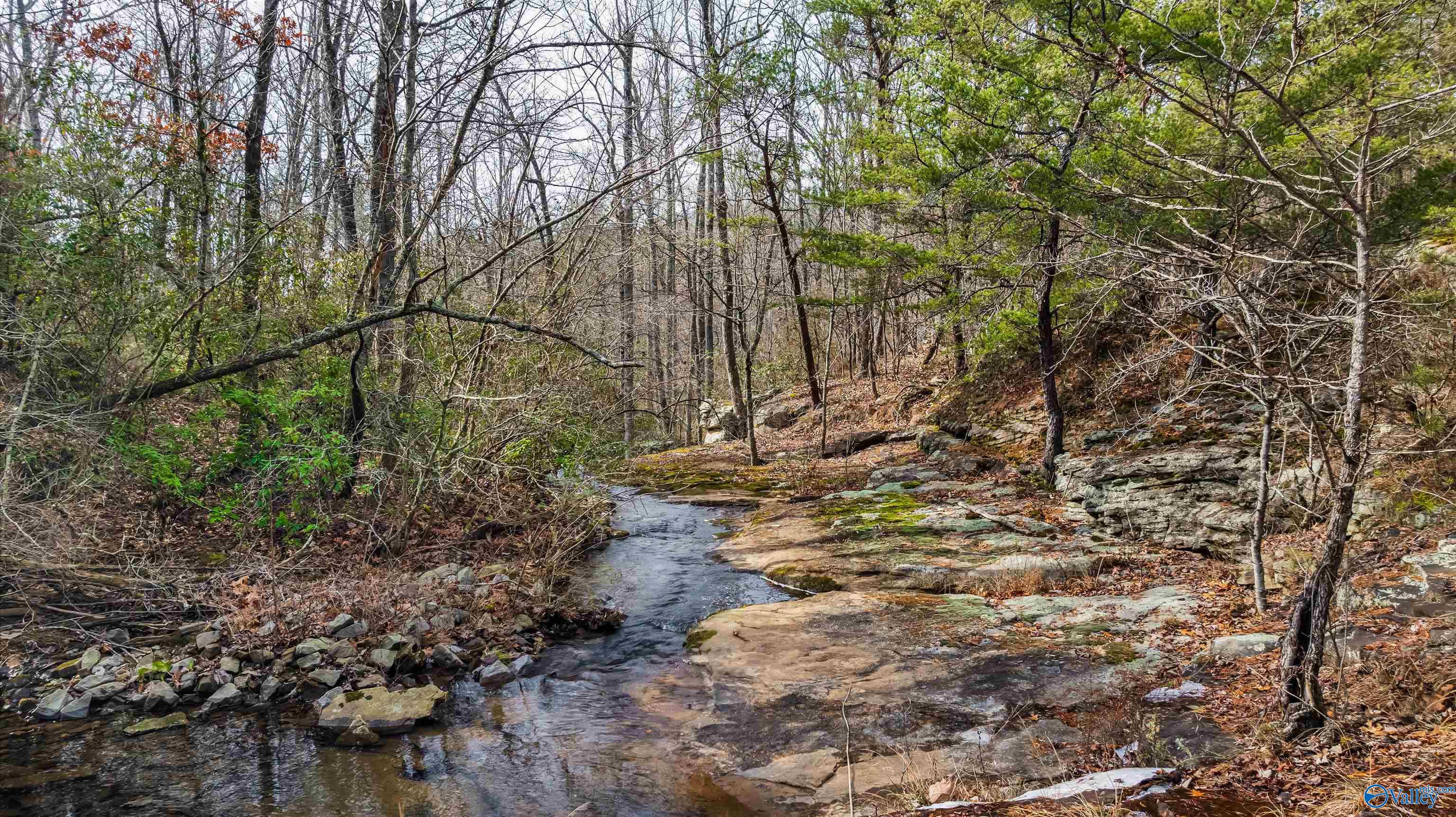 779 County Road 264