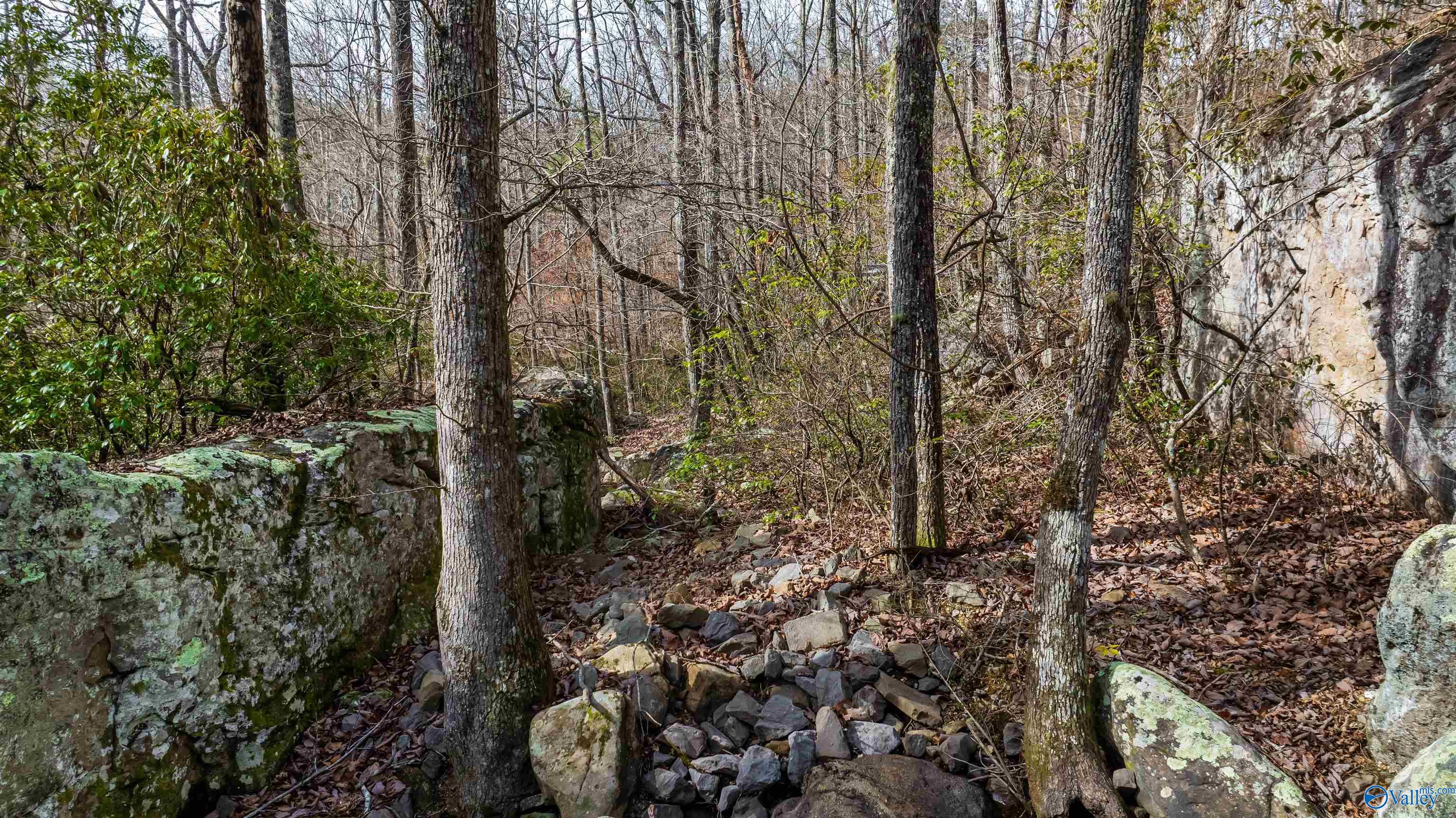 779 County Road 264