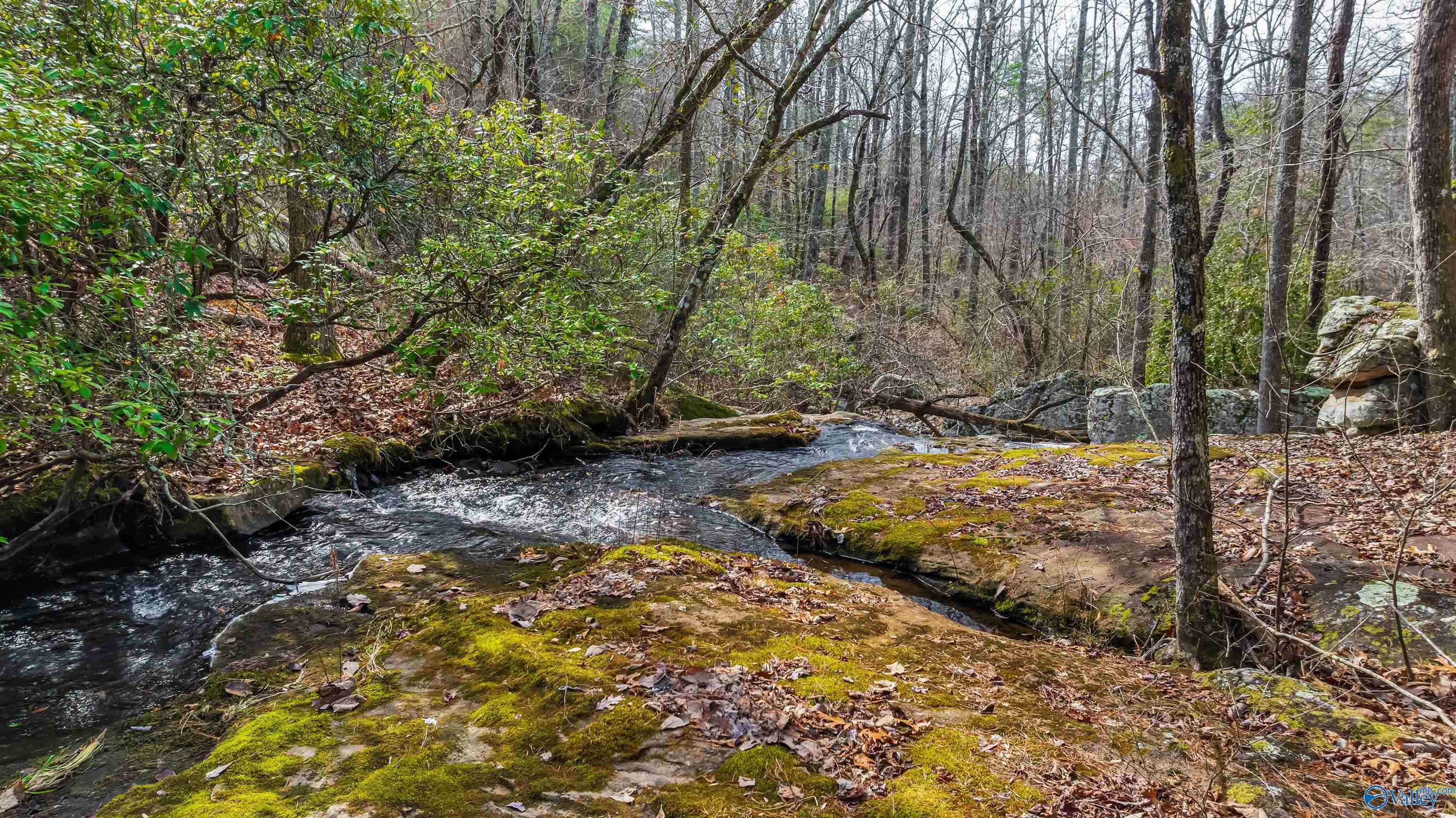 779 County Road 264