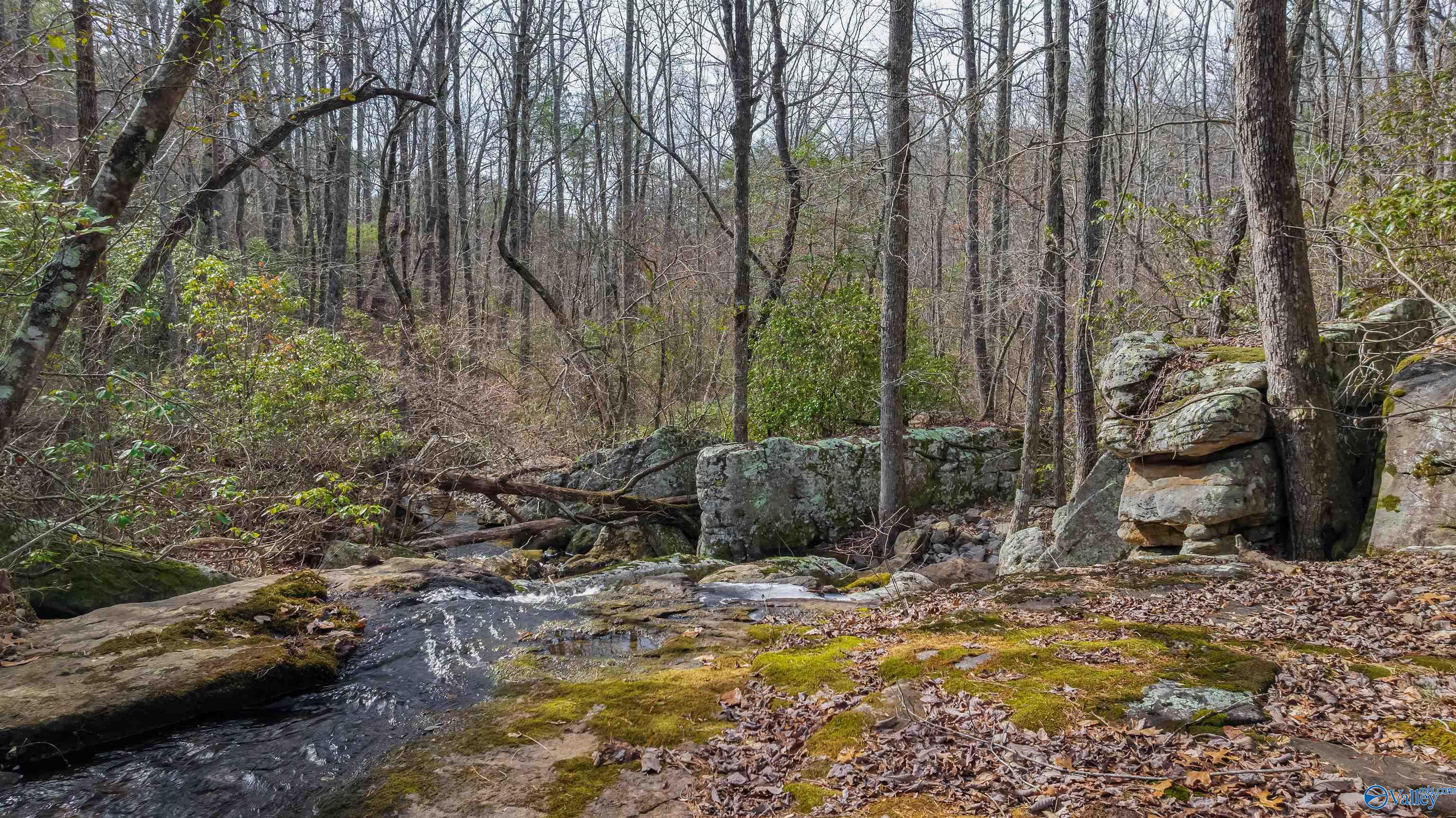 779 County Road 264
