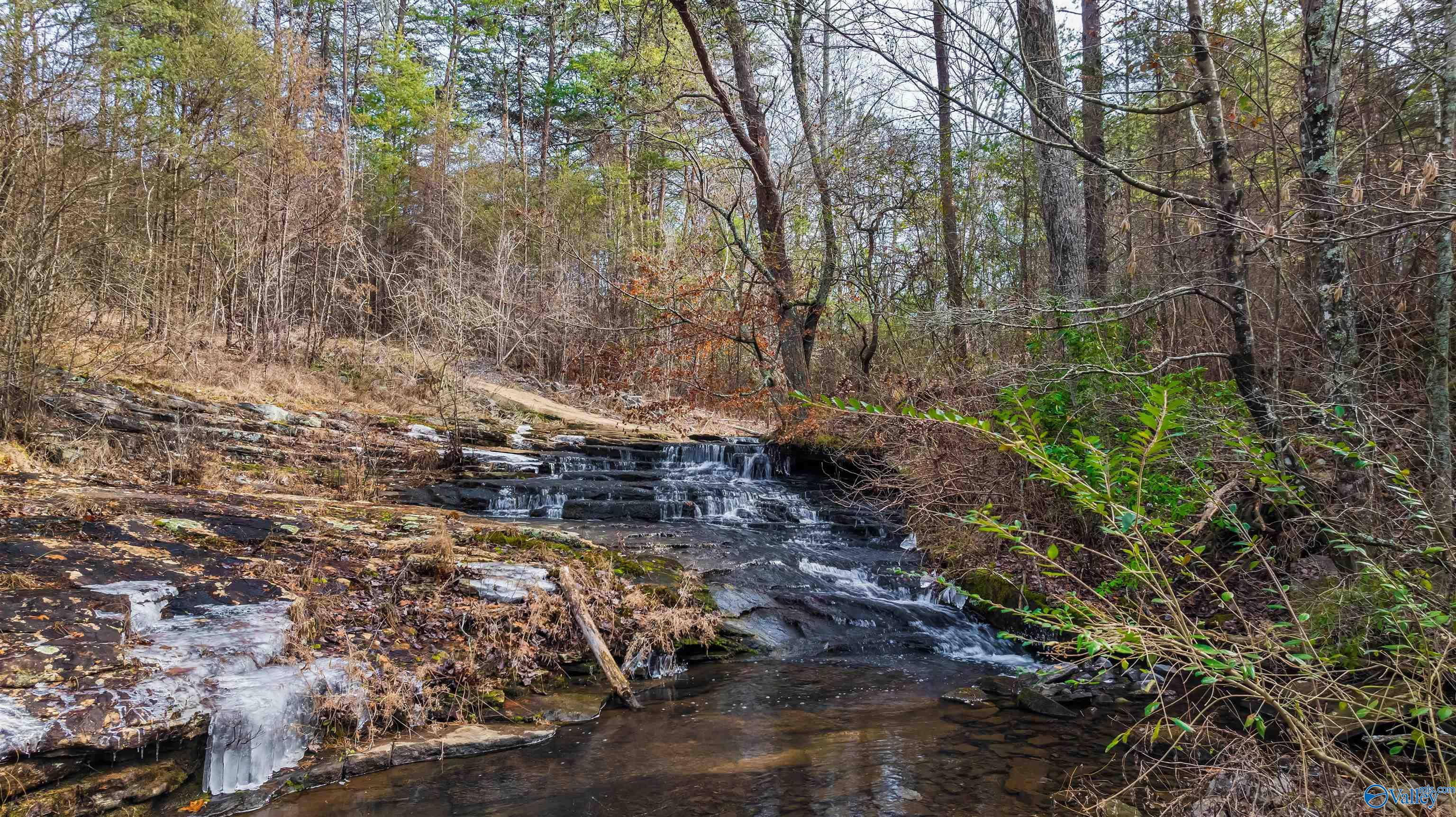 779 County Road 264