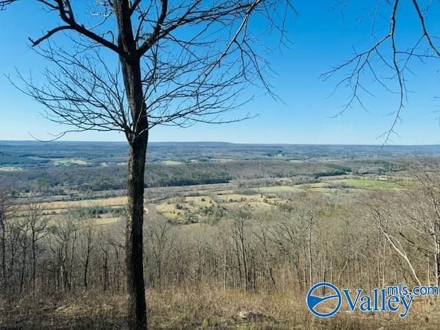 16861 County Road 89