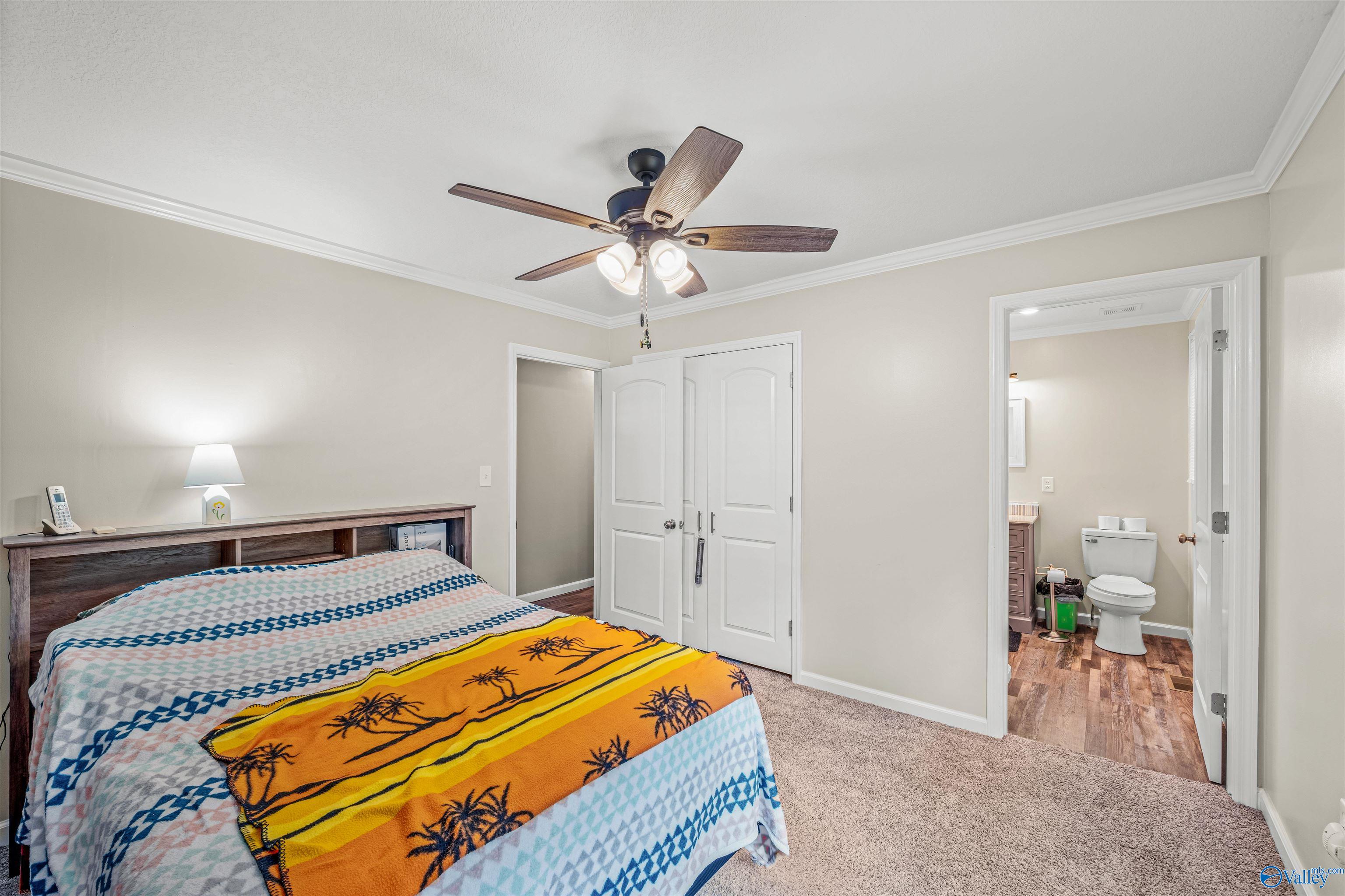 4193 County Road 51