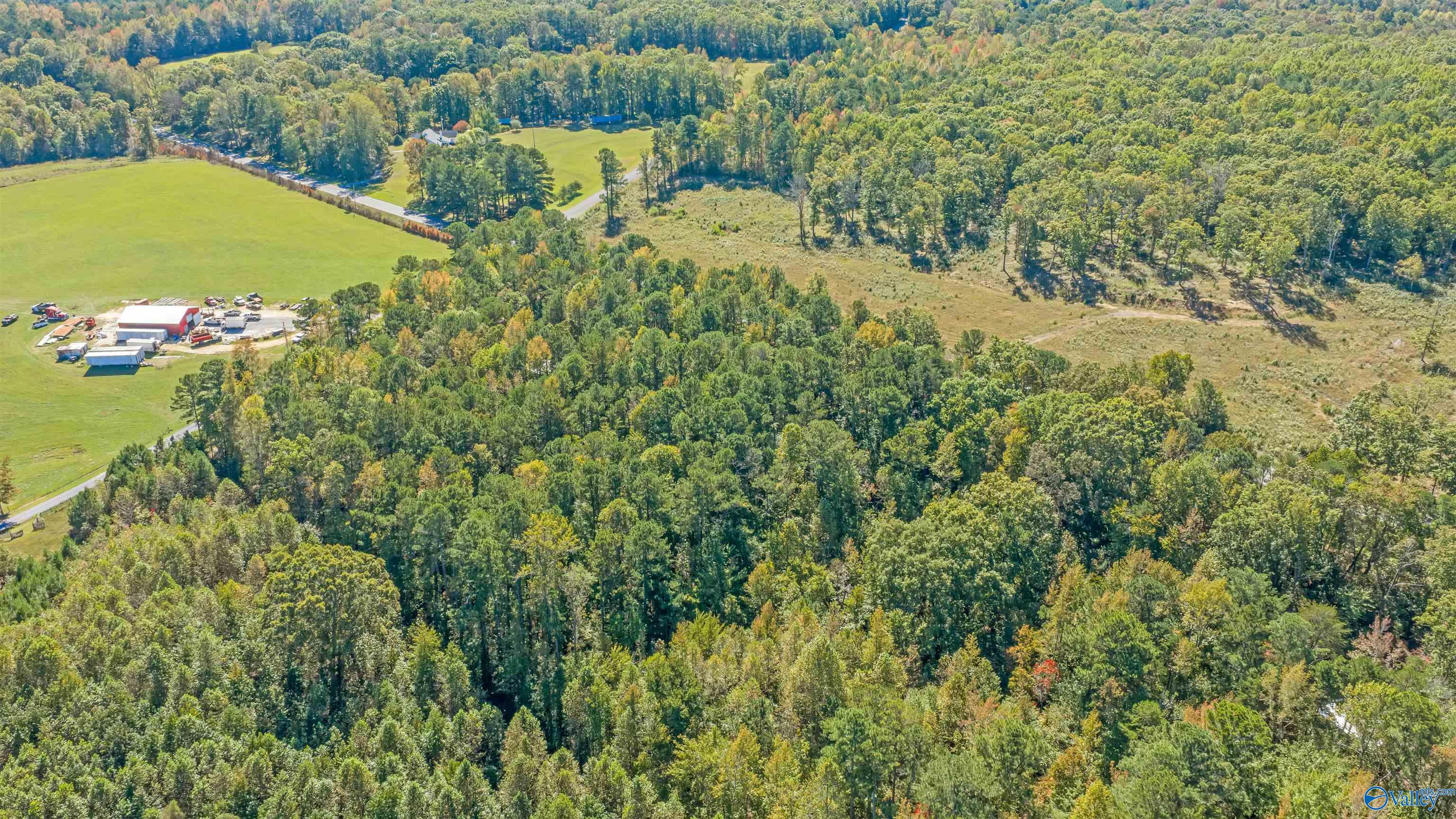 5.42 Acres Alabama Highway 117