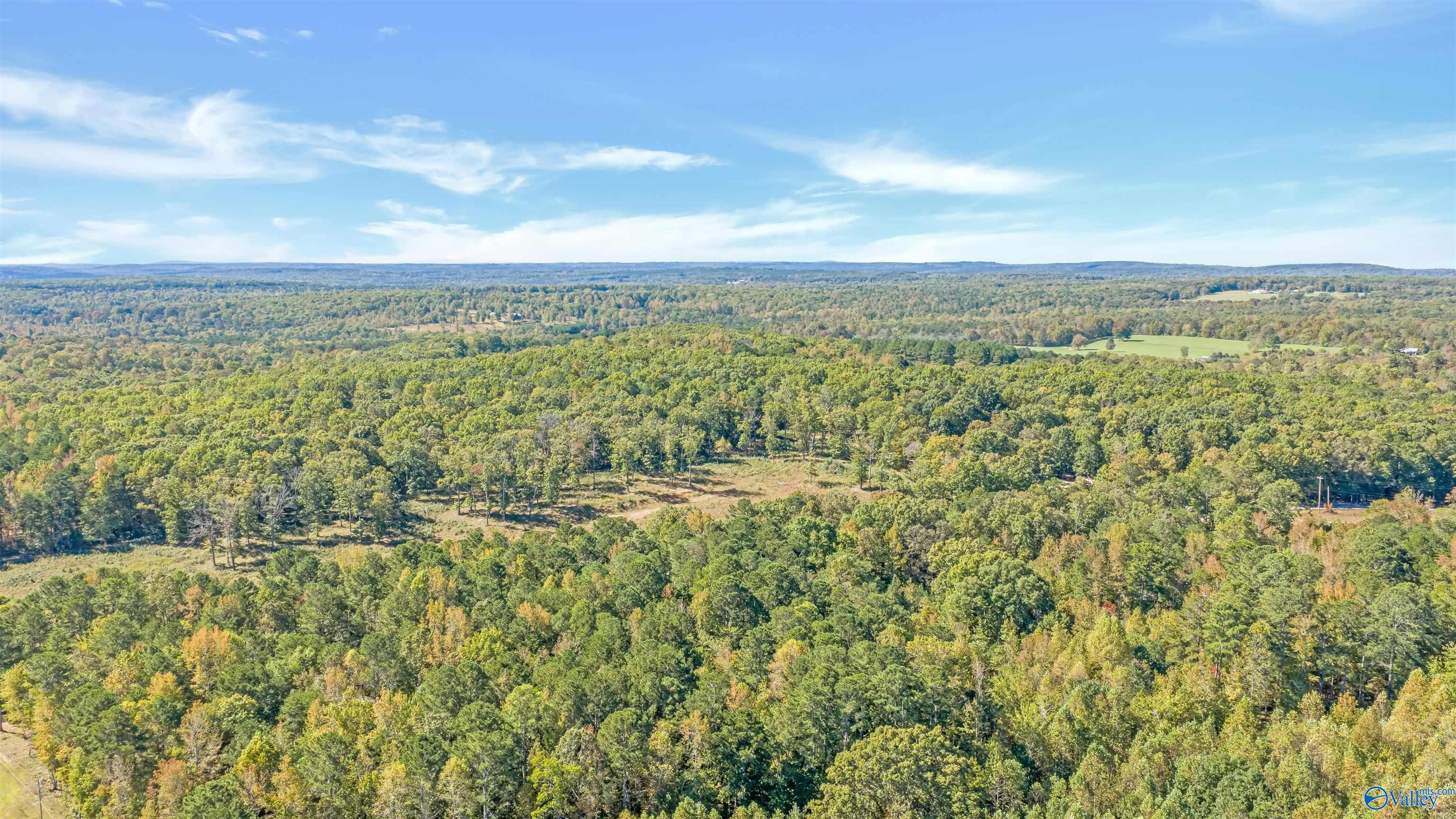 5.42 Acres Alabama Highway 117