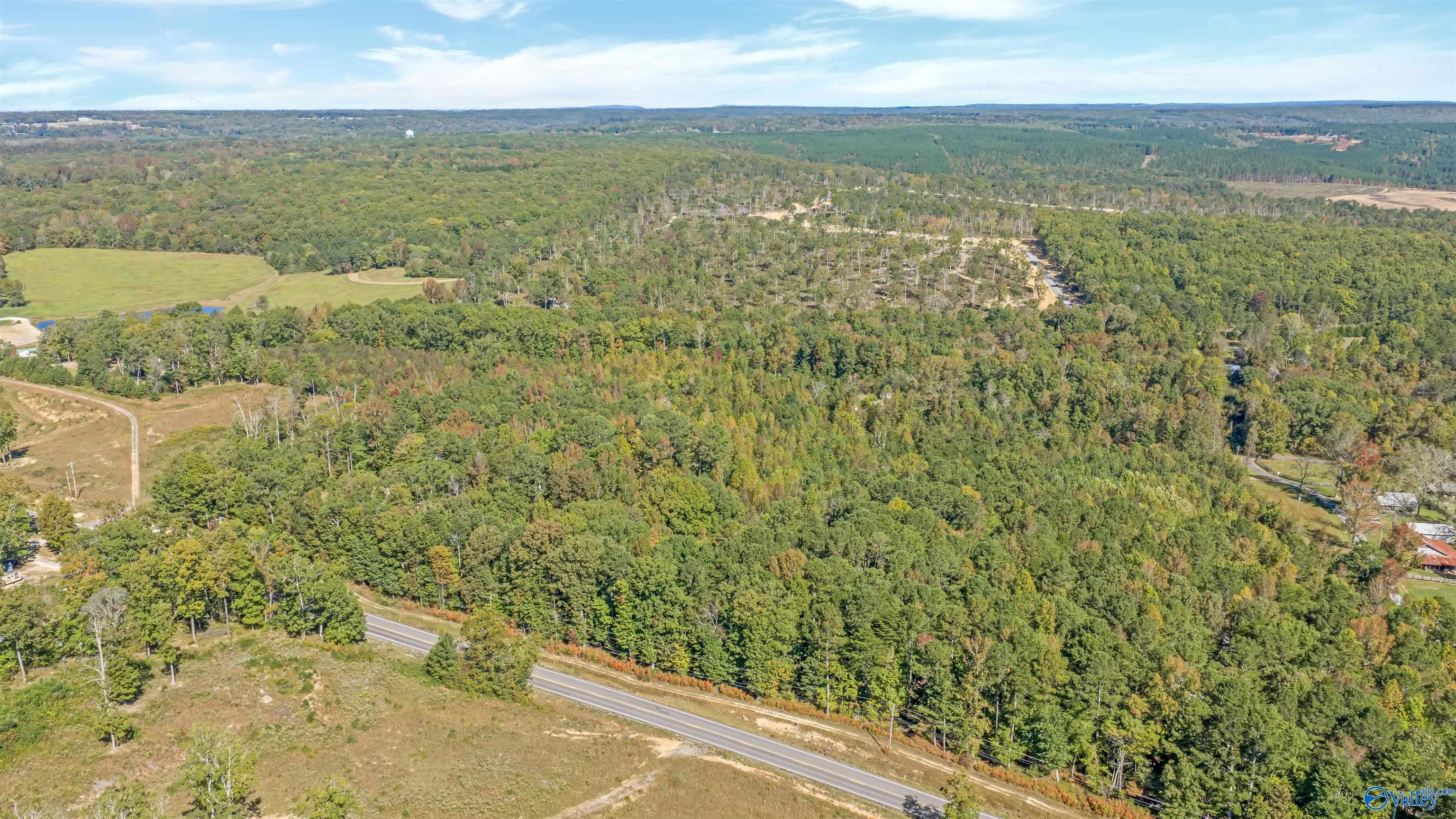 5.42 Acres Alabama Highway 117