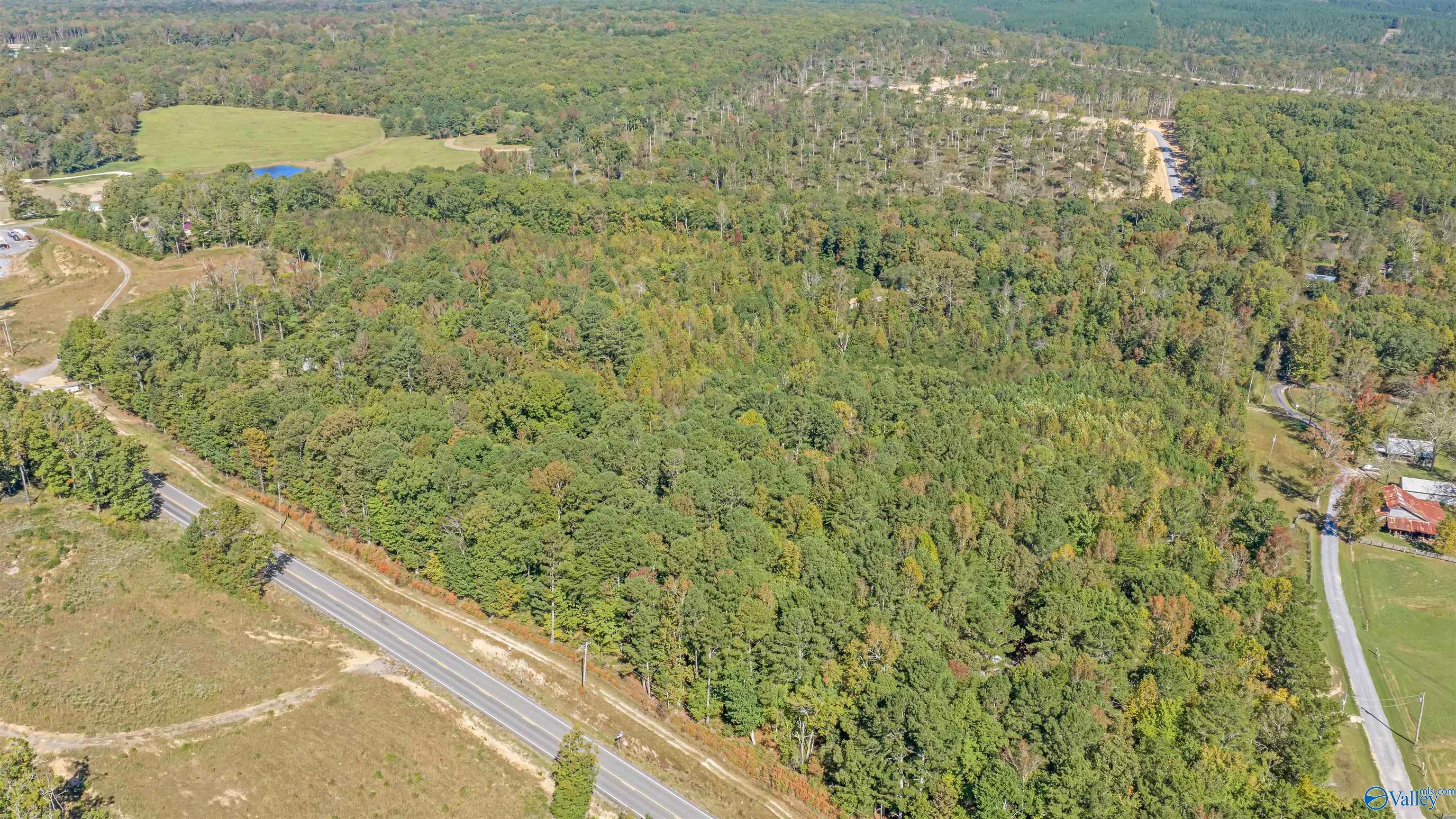 5.42 Acres Alabama Highway 117