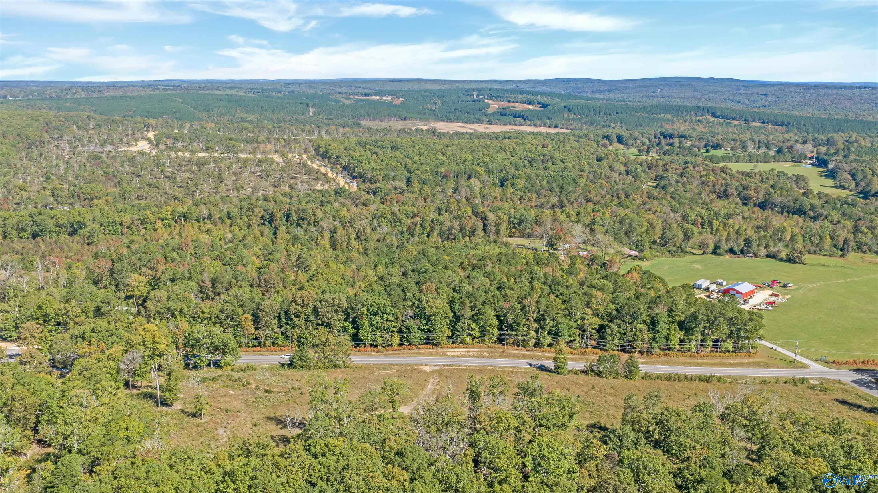 5.42 Acres Alabama Highway 117