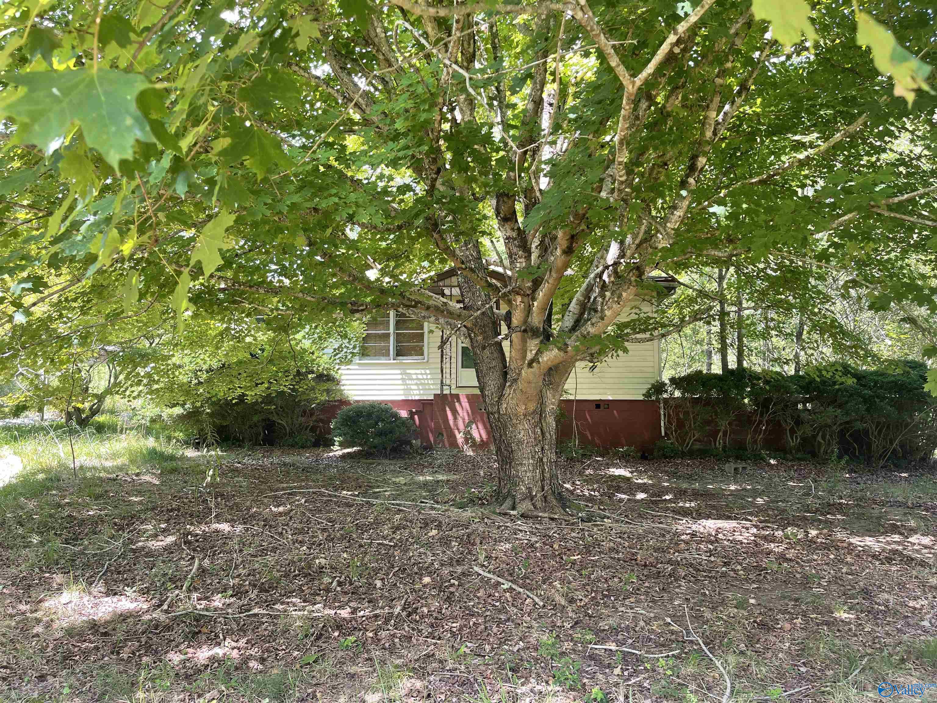 40 Homestead Lane