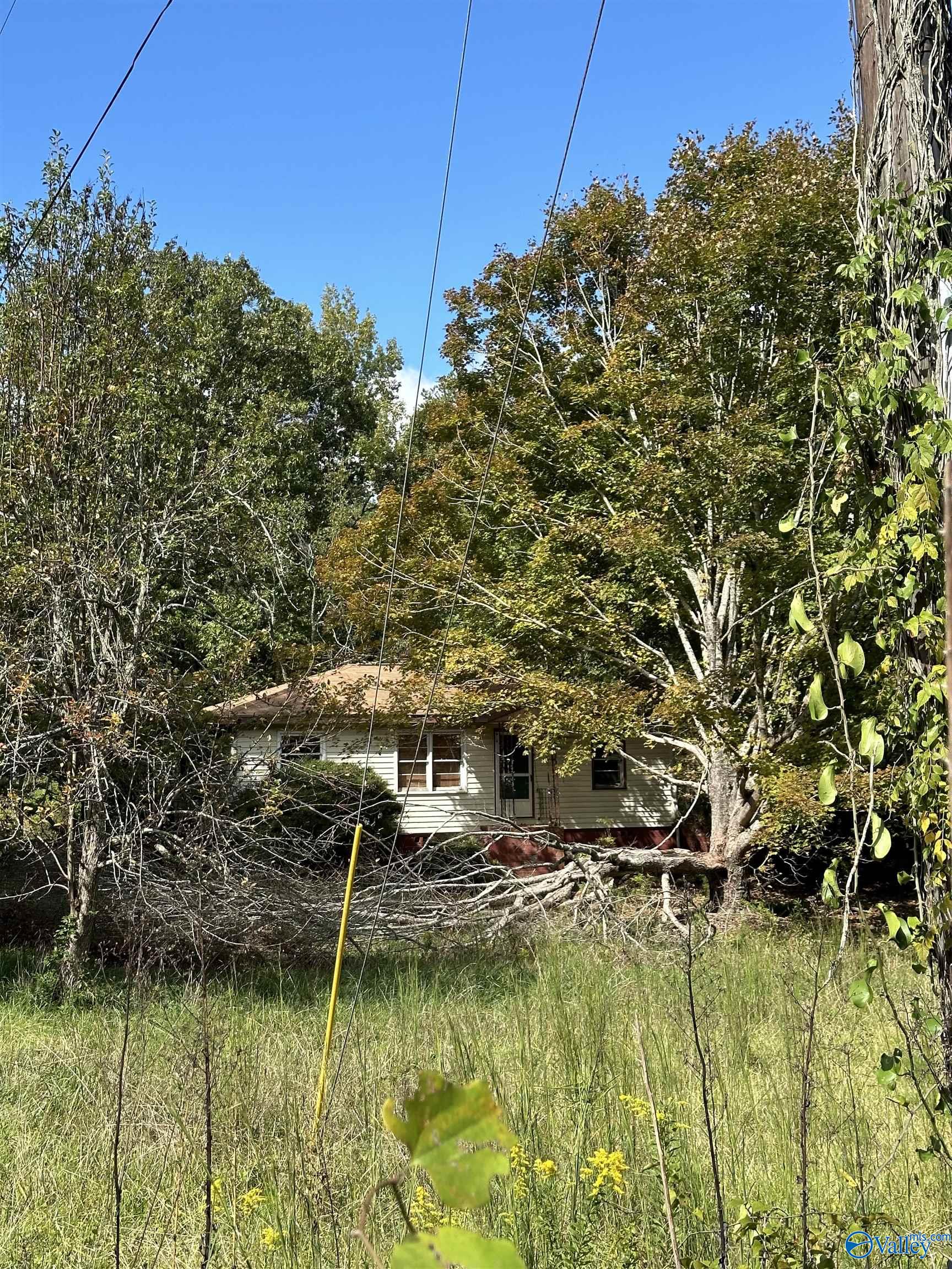 40 Homestead Lane