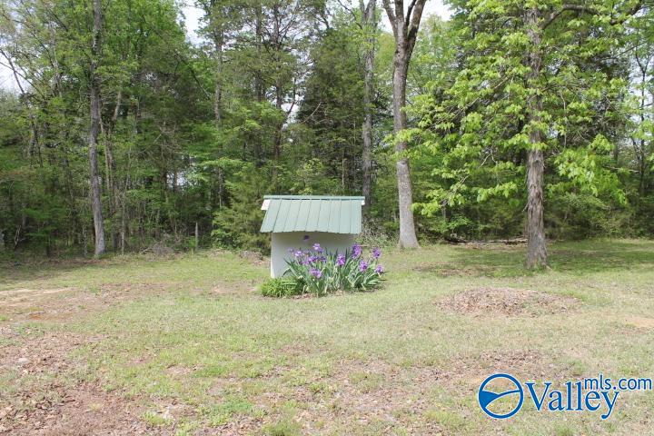 3128 County Road 51