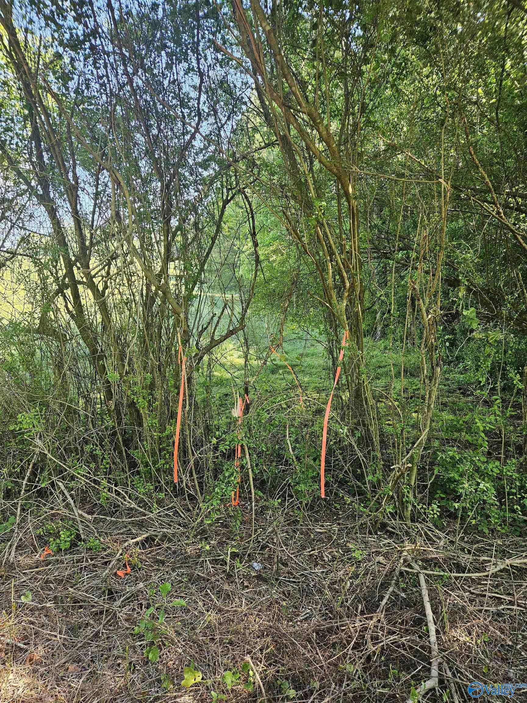 Lot 1 County Road 60