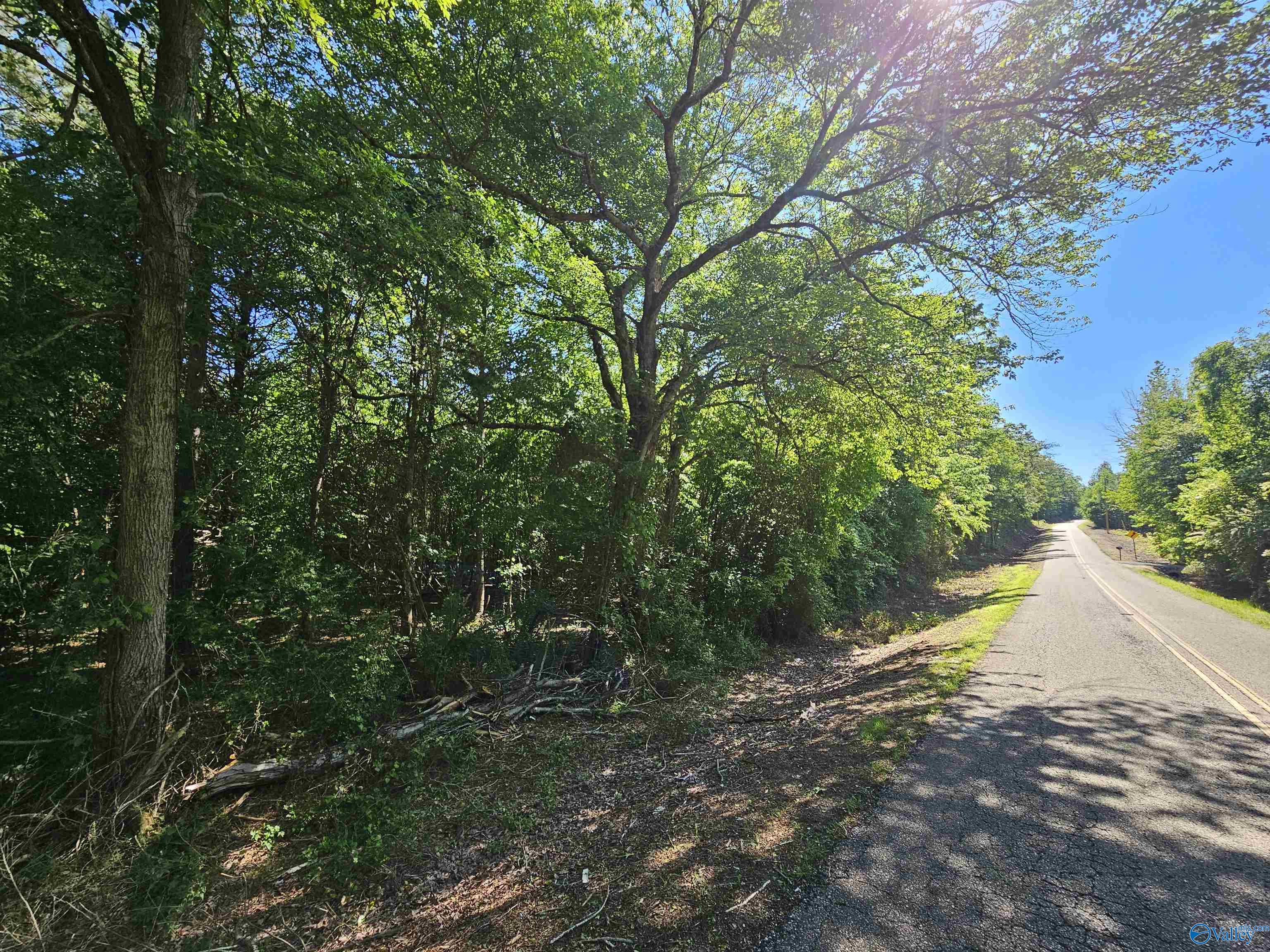 Lot 1 County Road 60