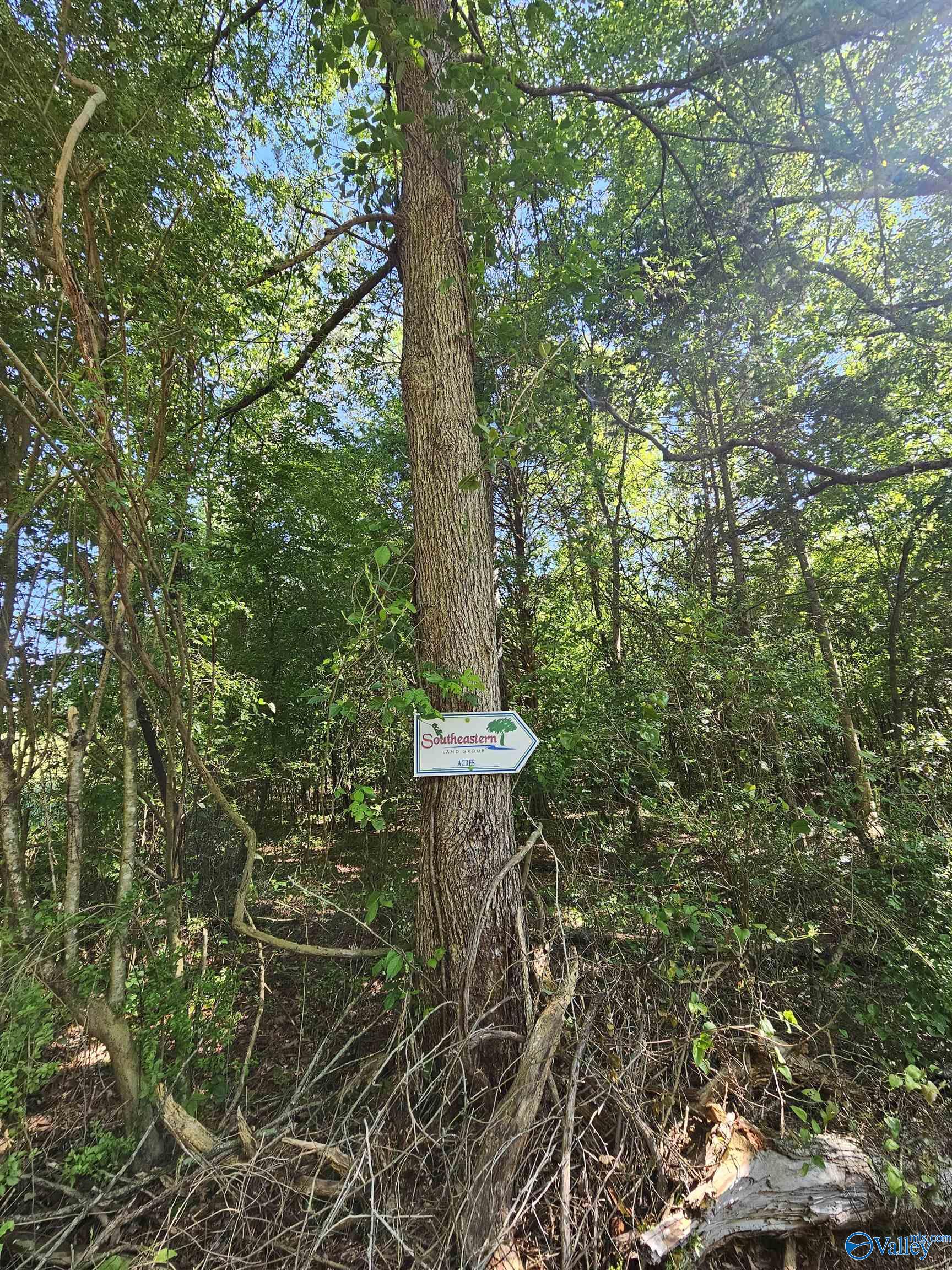 Lot 1 County Road 60