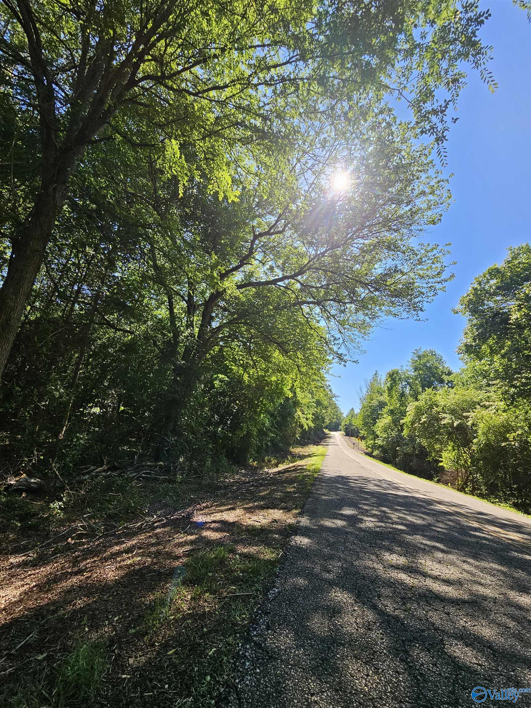 Lot 1 County Road 60