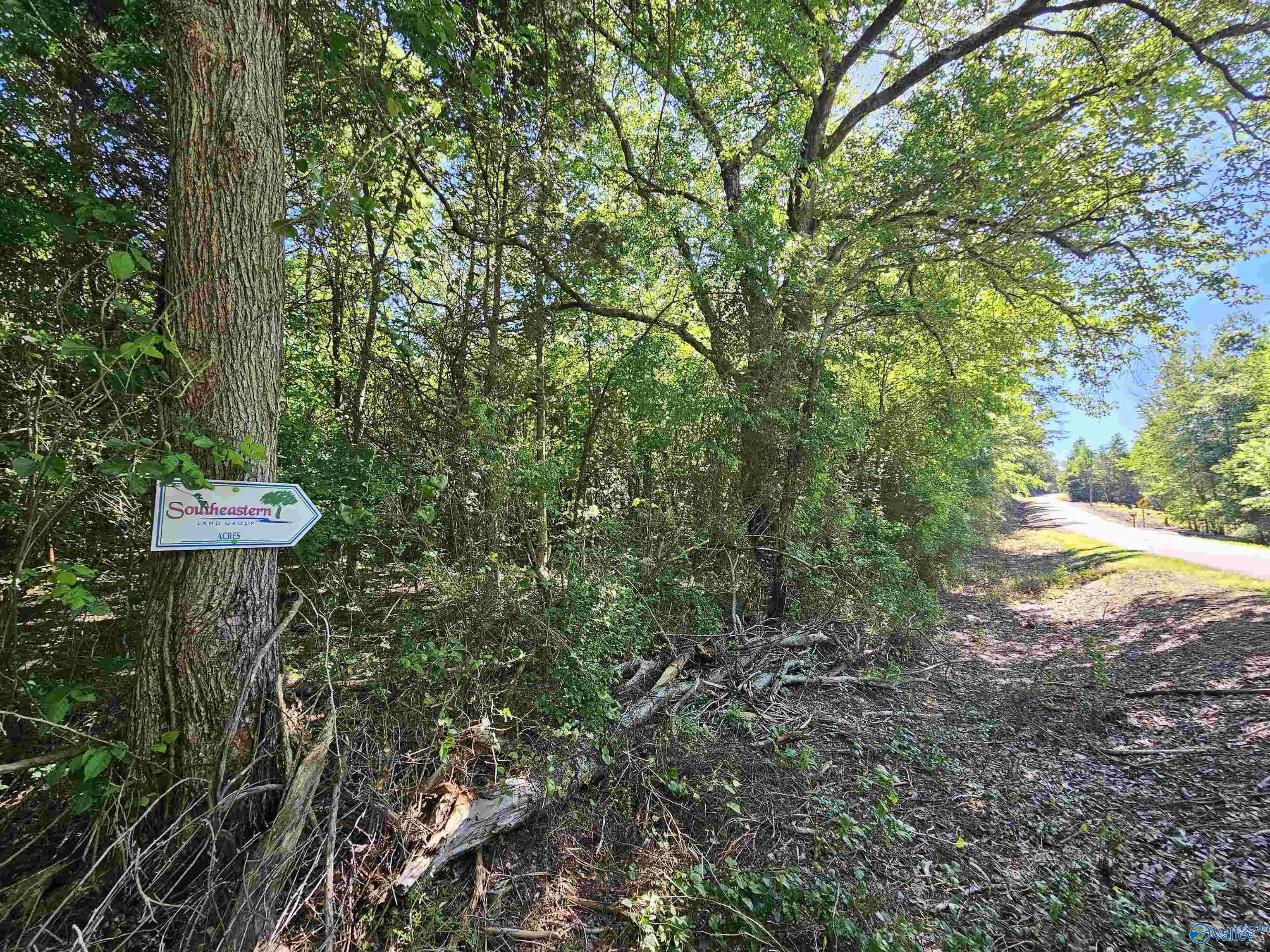 Lot 1 County Road 60
