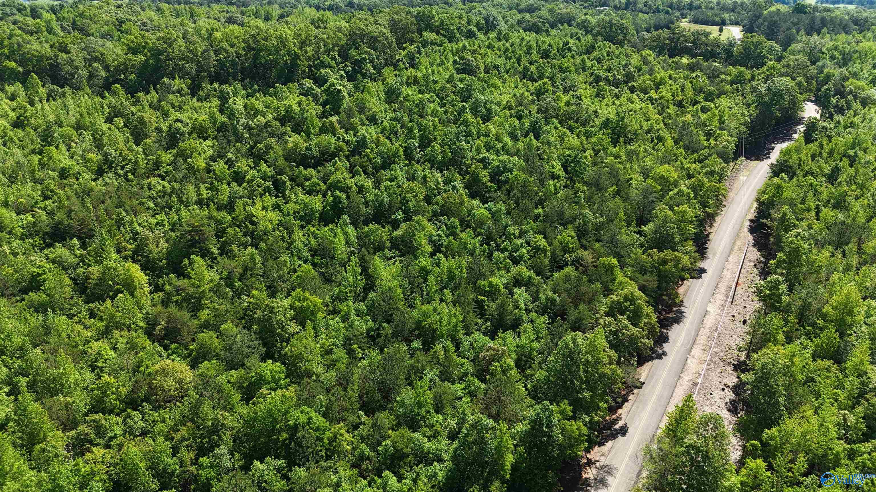 Lot 2 County Road 60