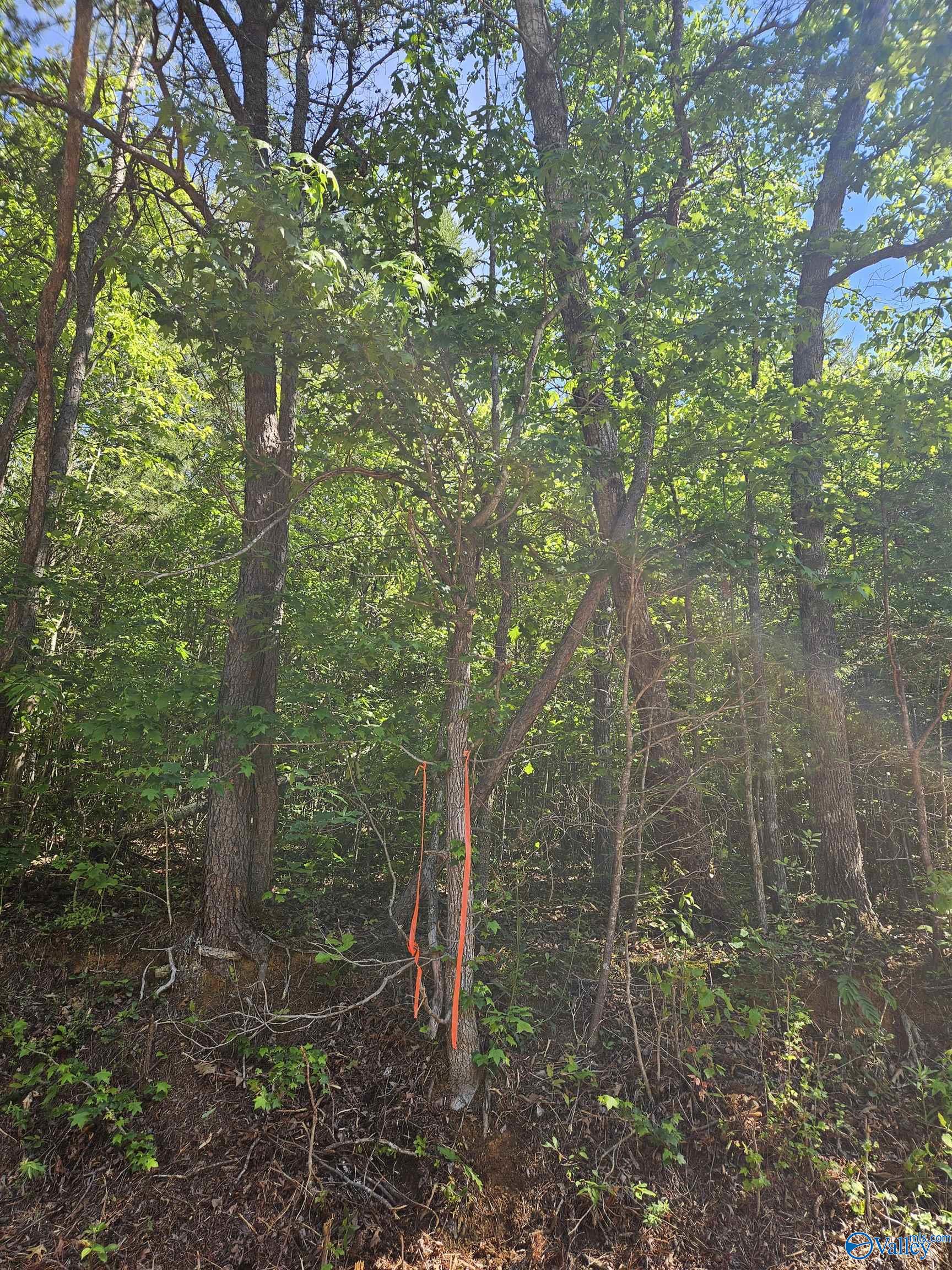 Lot 2 County Road 60
