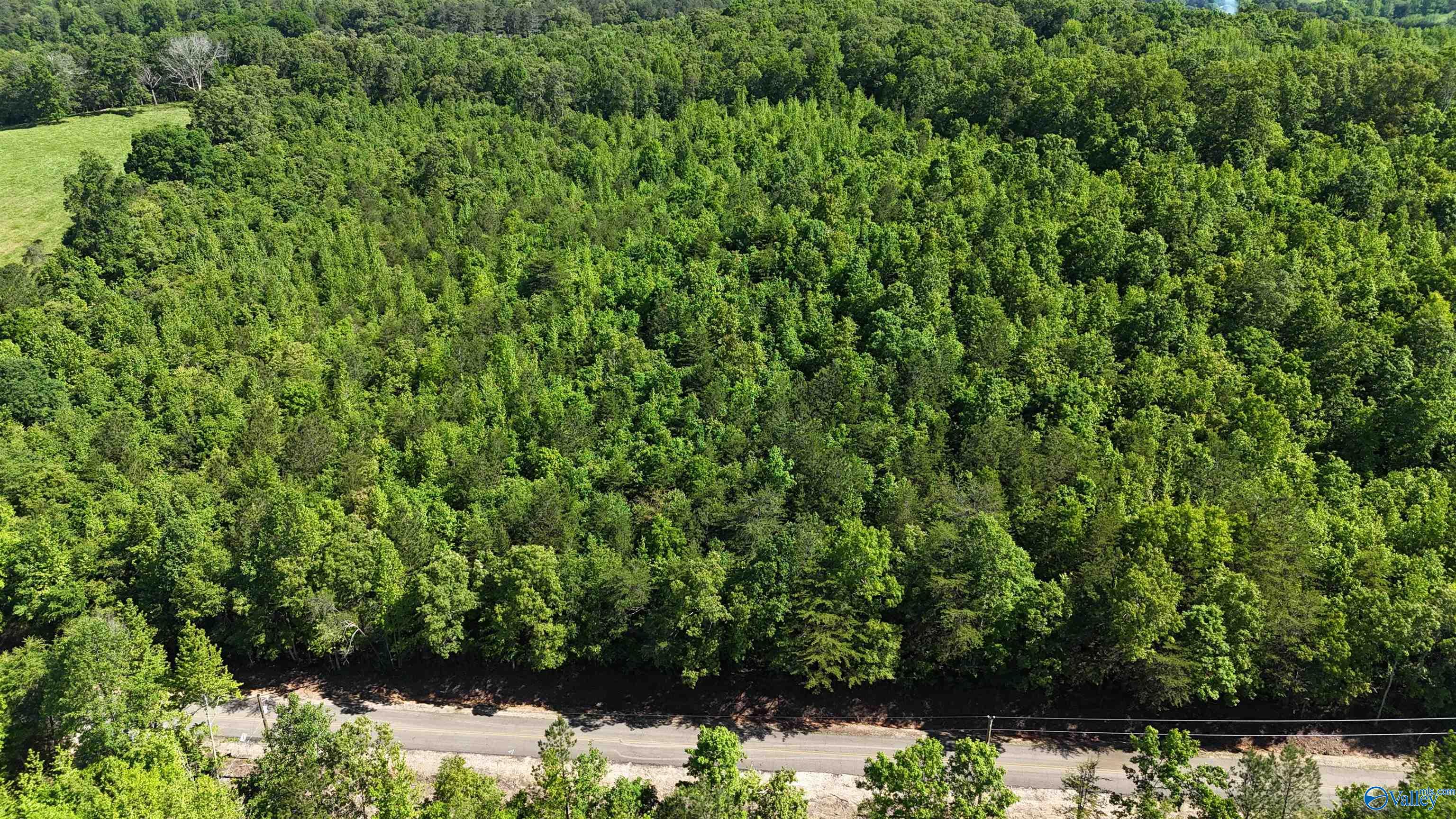 Lot 2 County Road 60