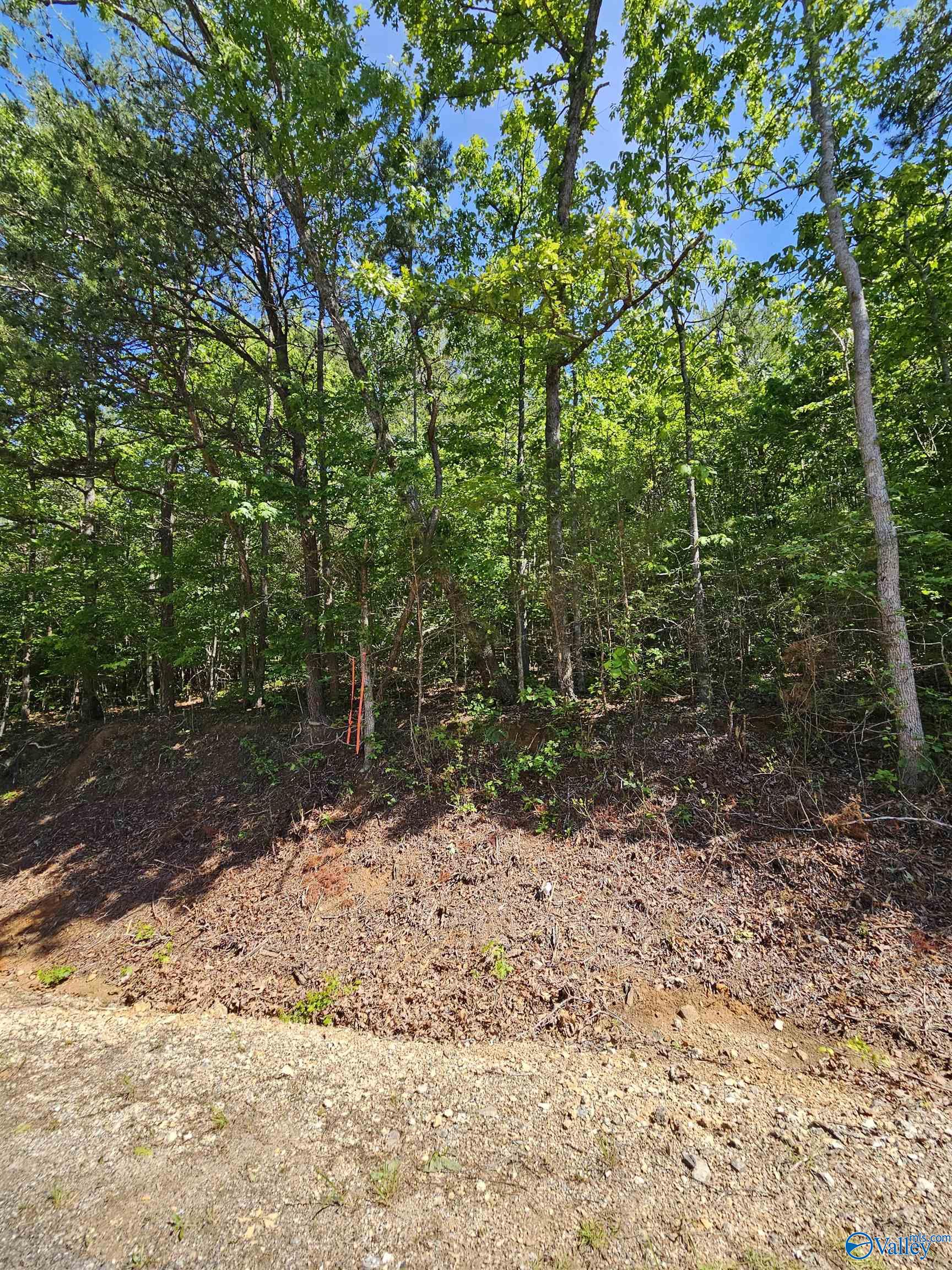 Lot 2 County Road 60