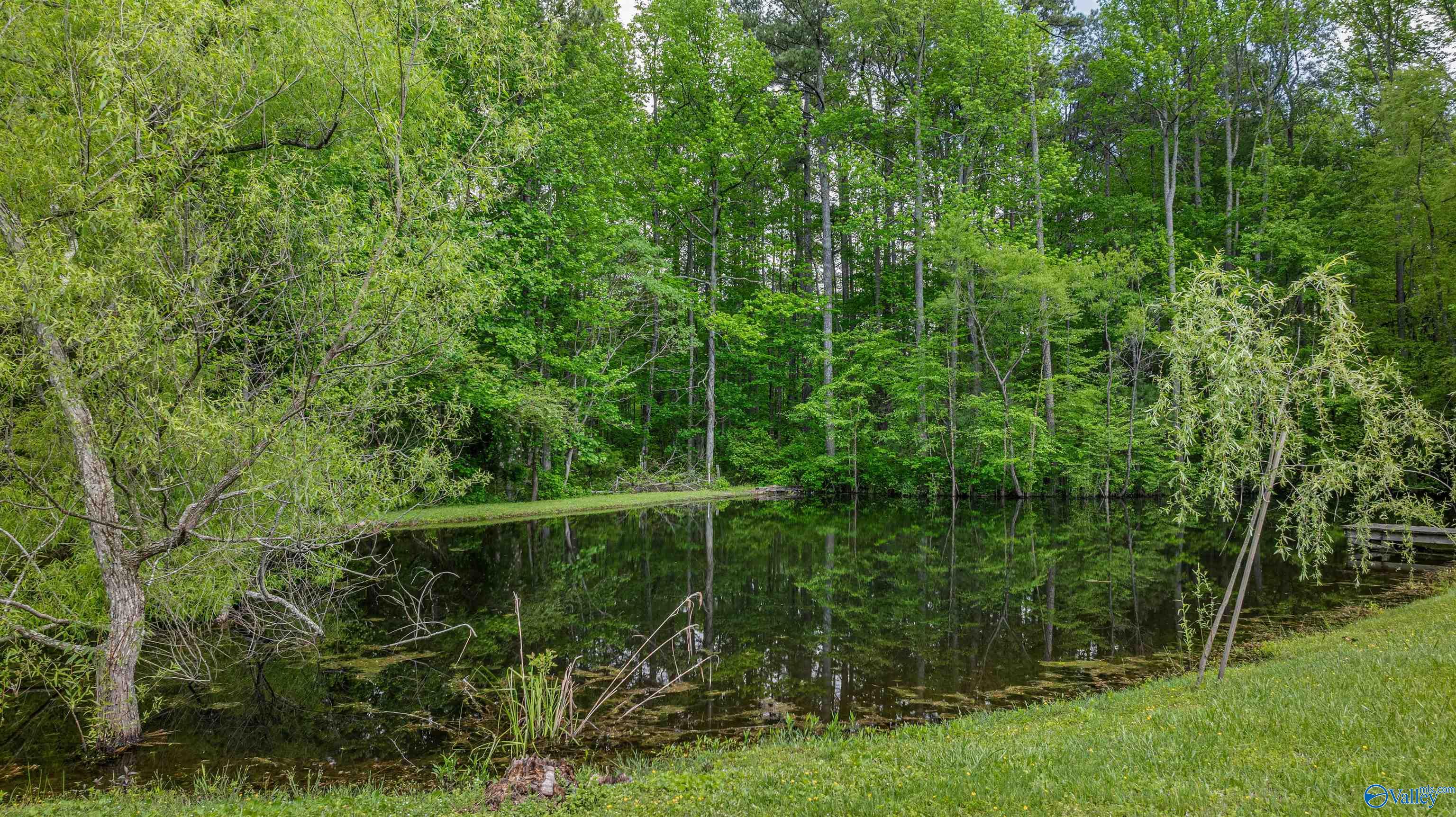 2725 County Road 121