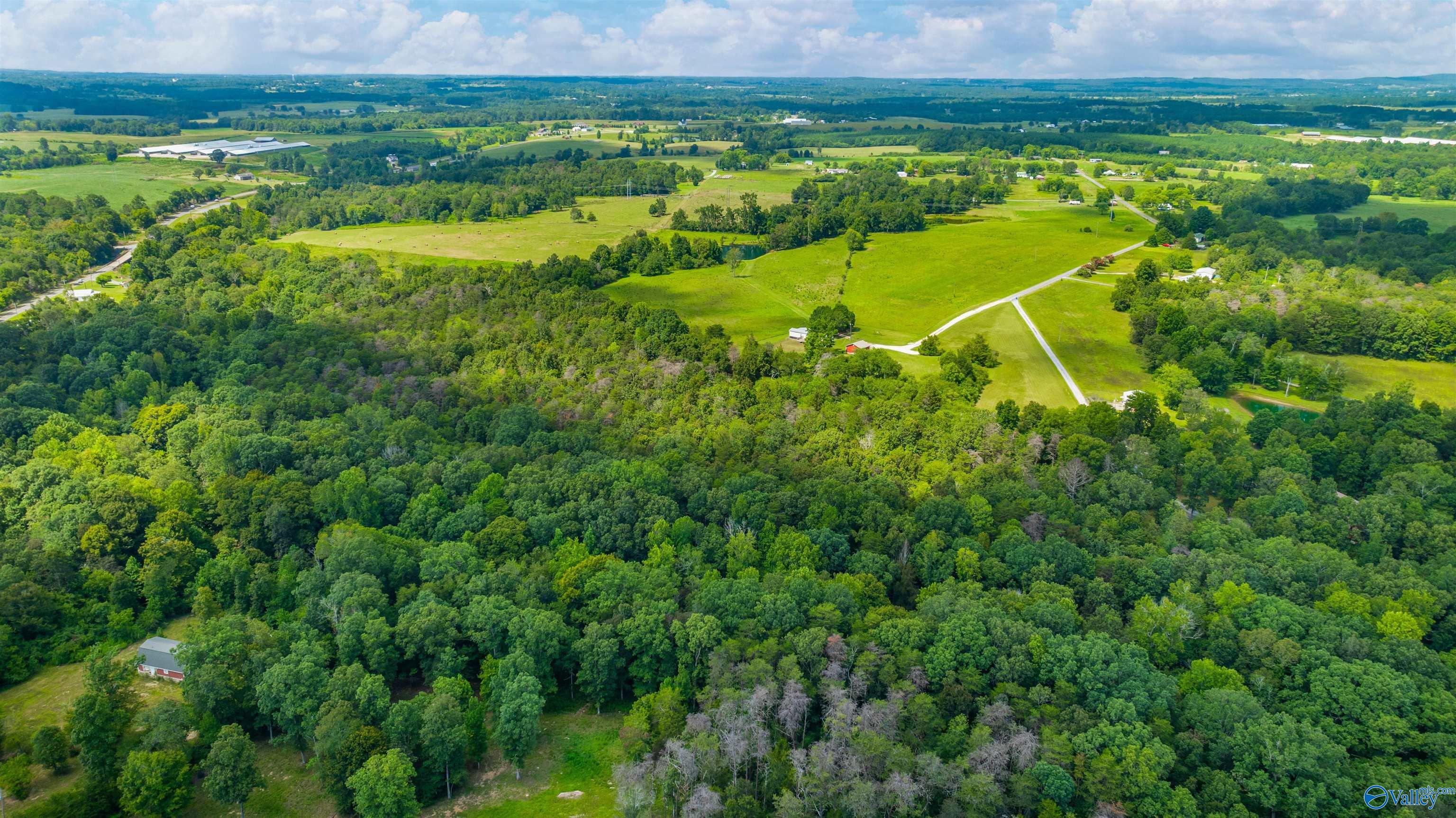 424 County Road 679