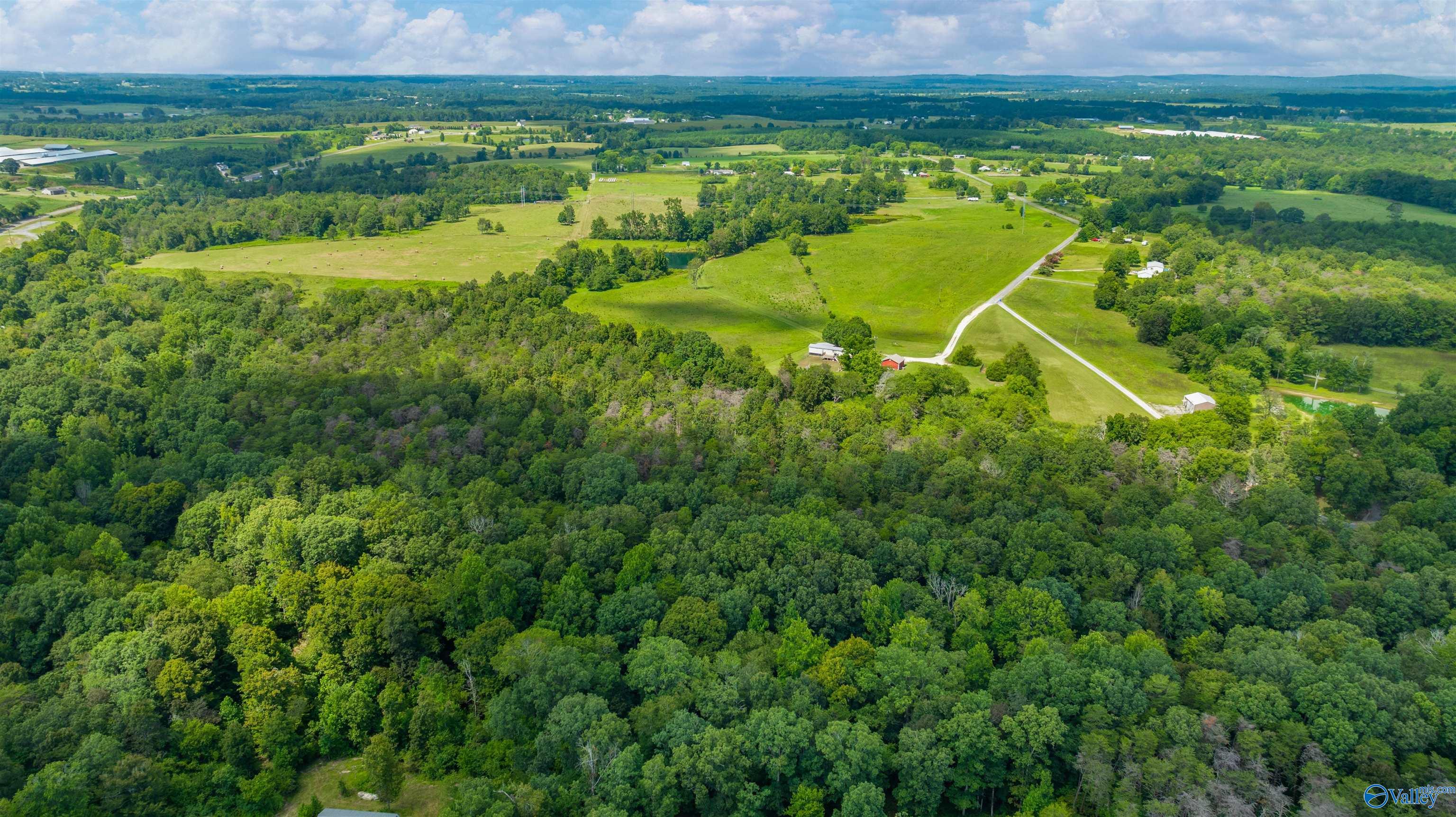 424 County Road 679