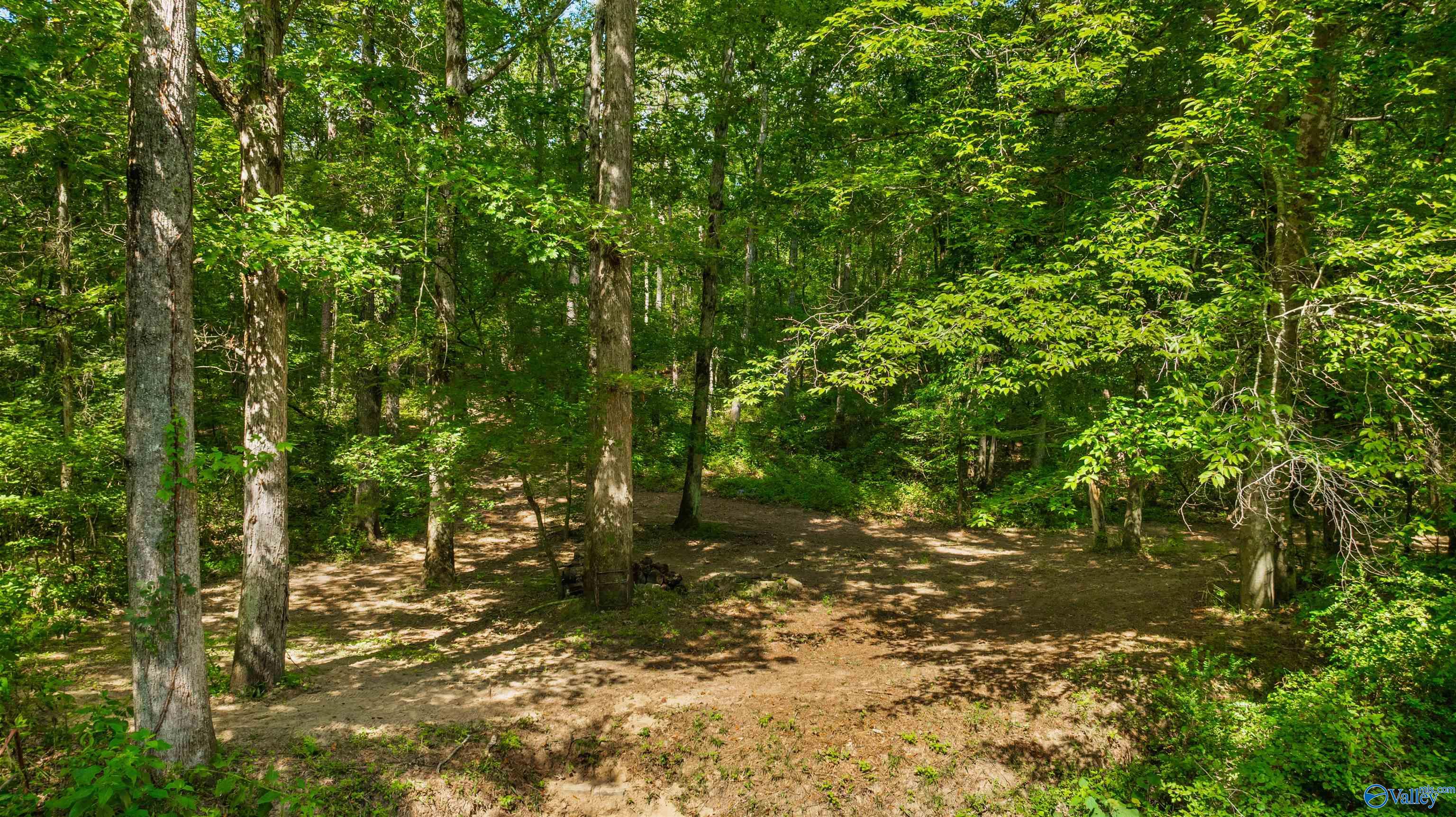 424 County Road 679