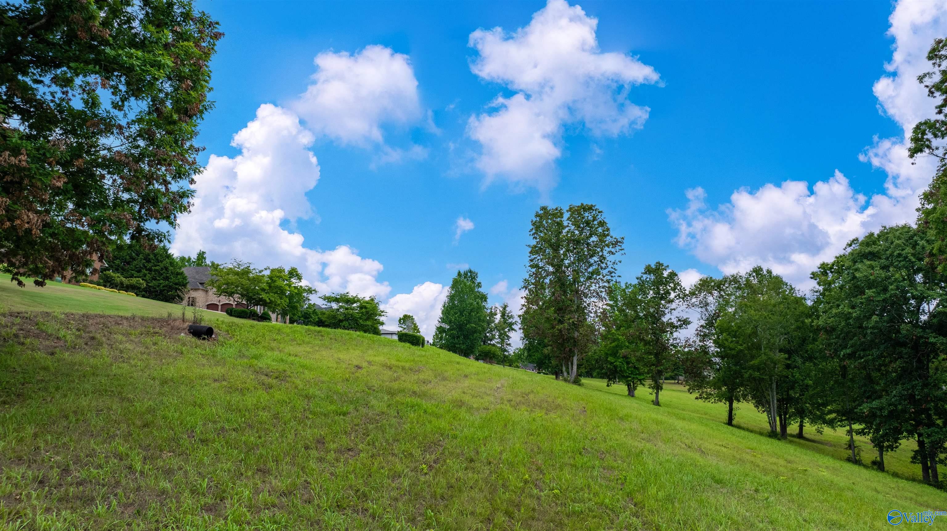 Lot 22 County Road 1027