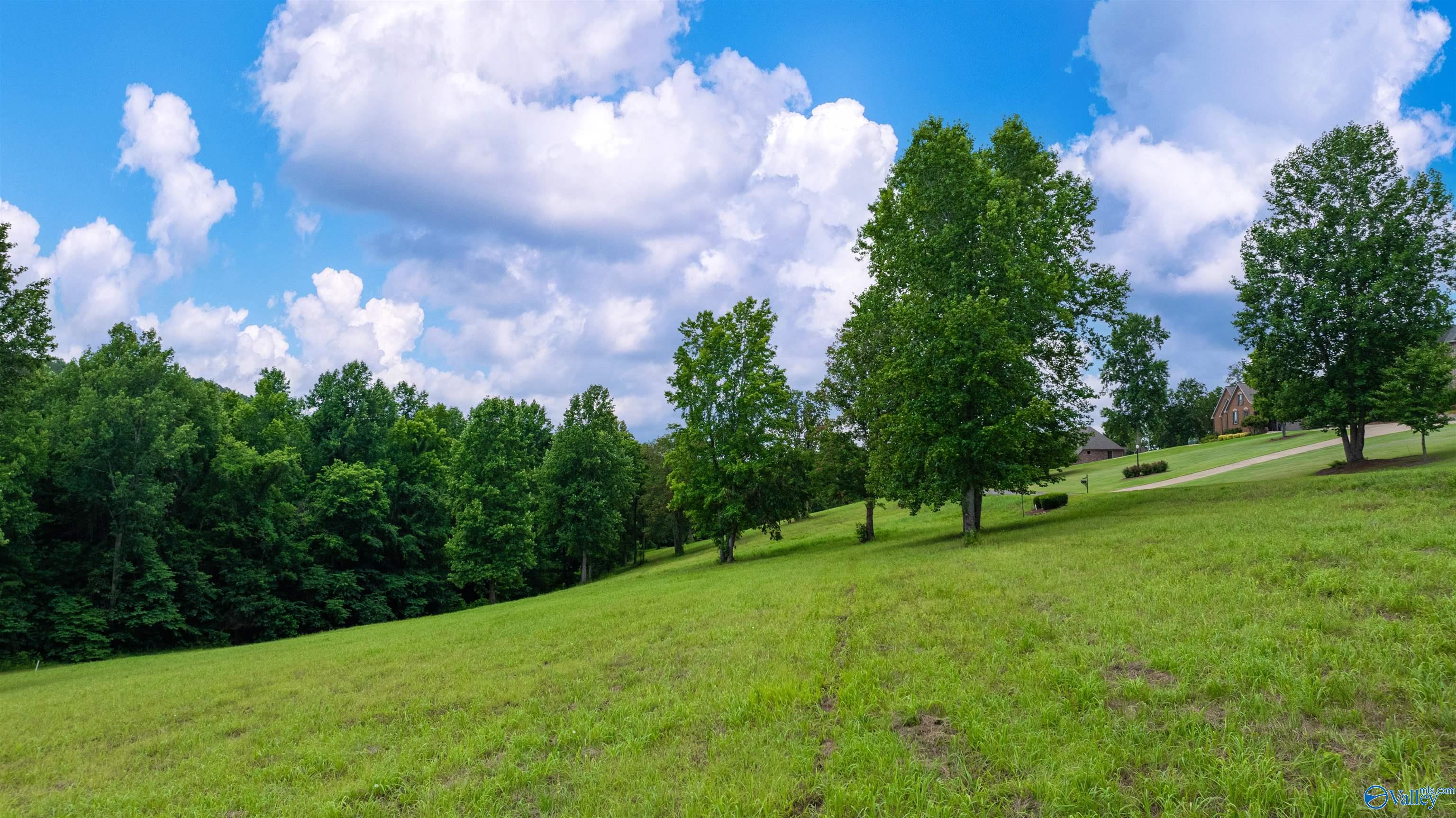 Lot 22 County Road 1027