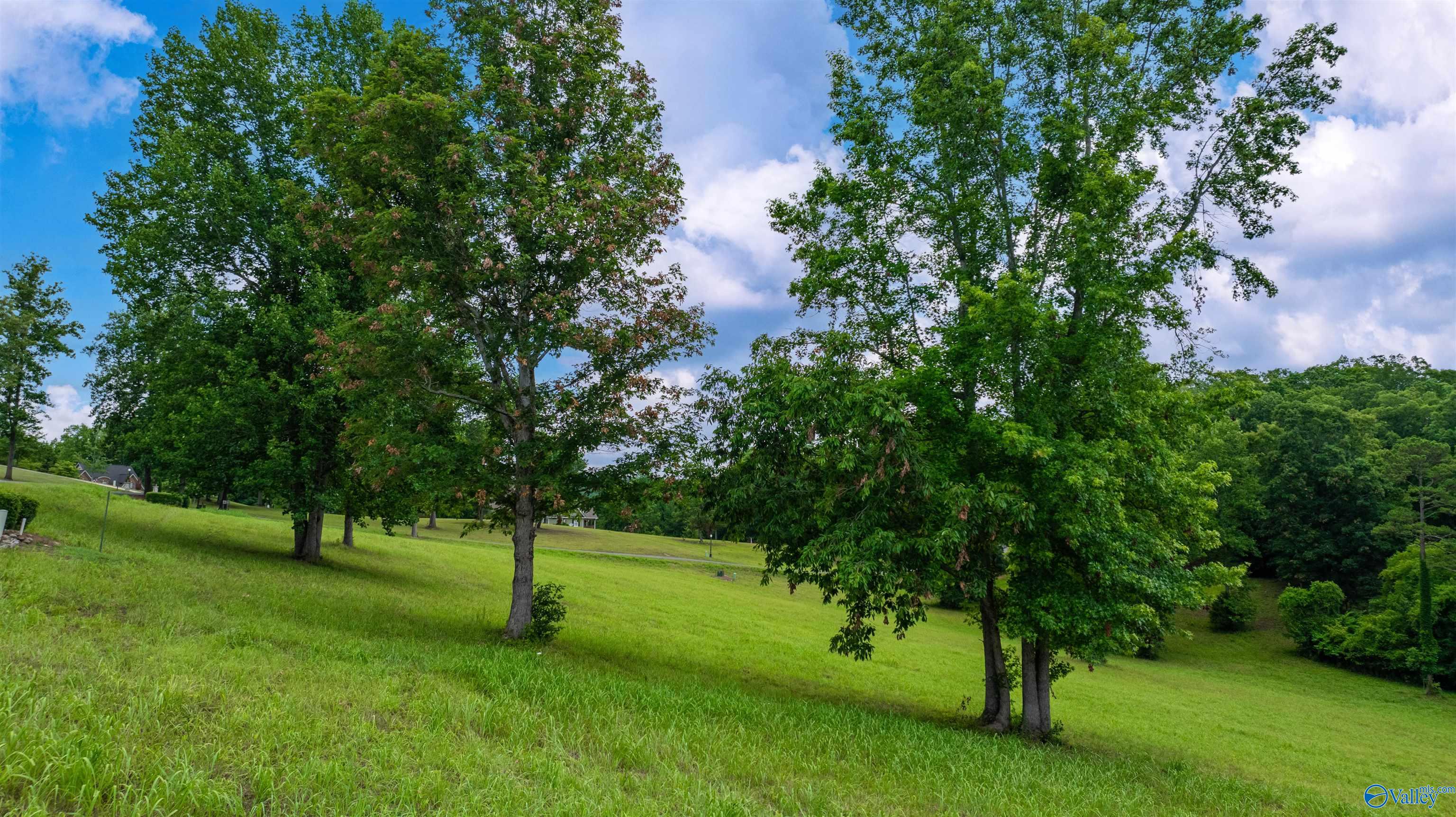 Lot 22 County Road 1027