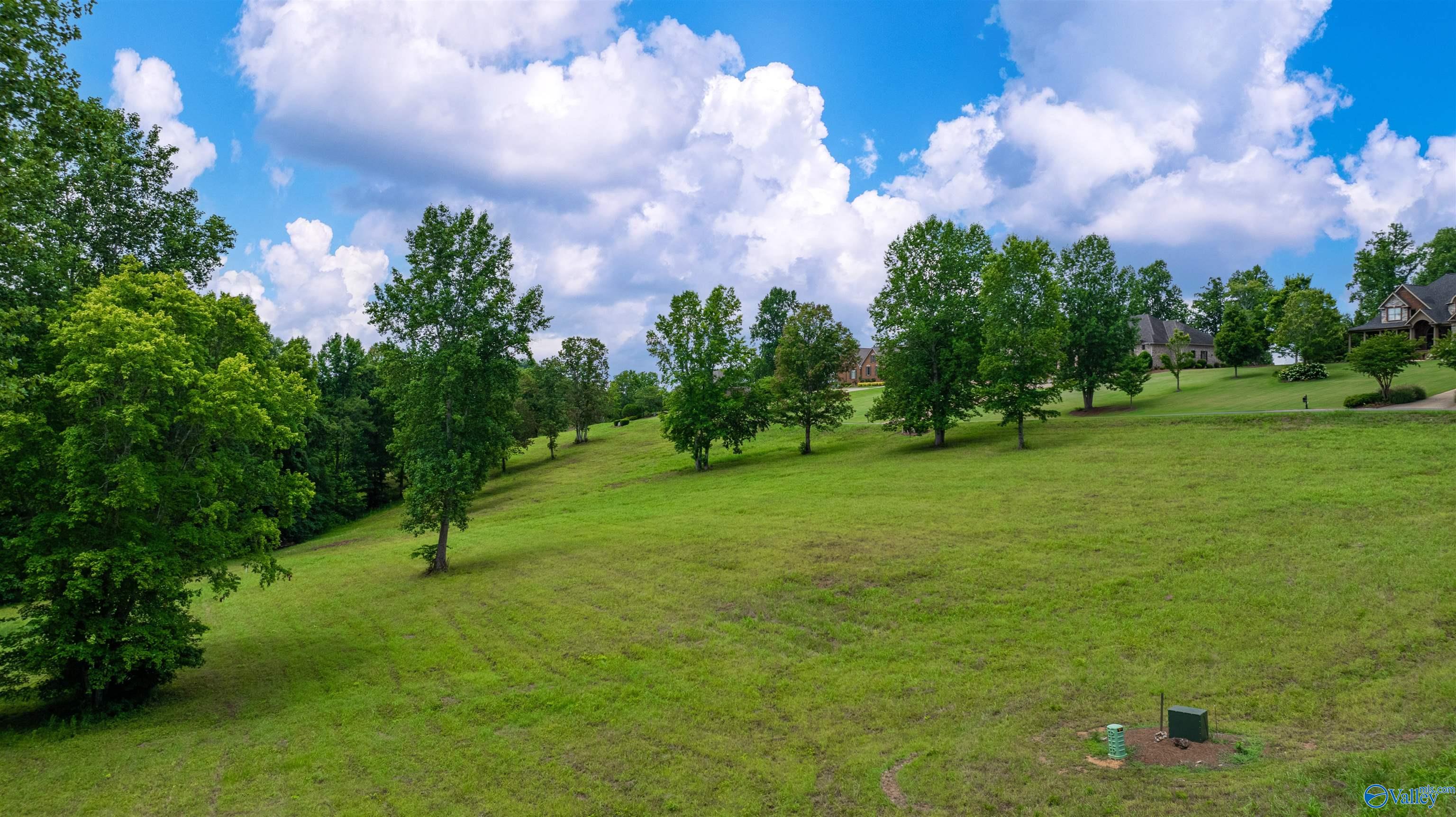 Lot 22 County Road 1027
