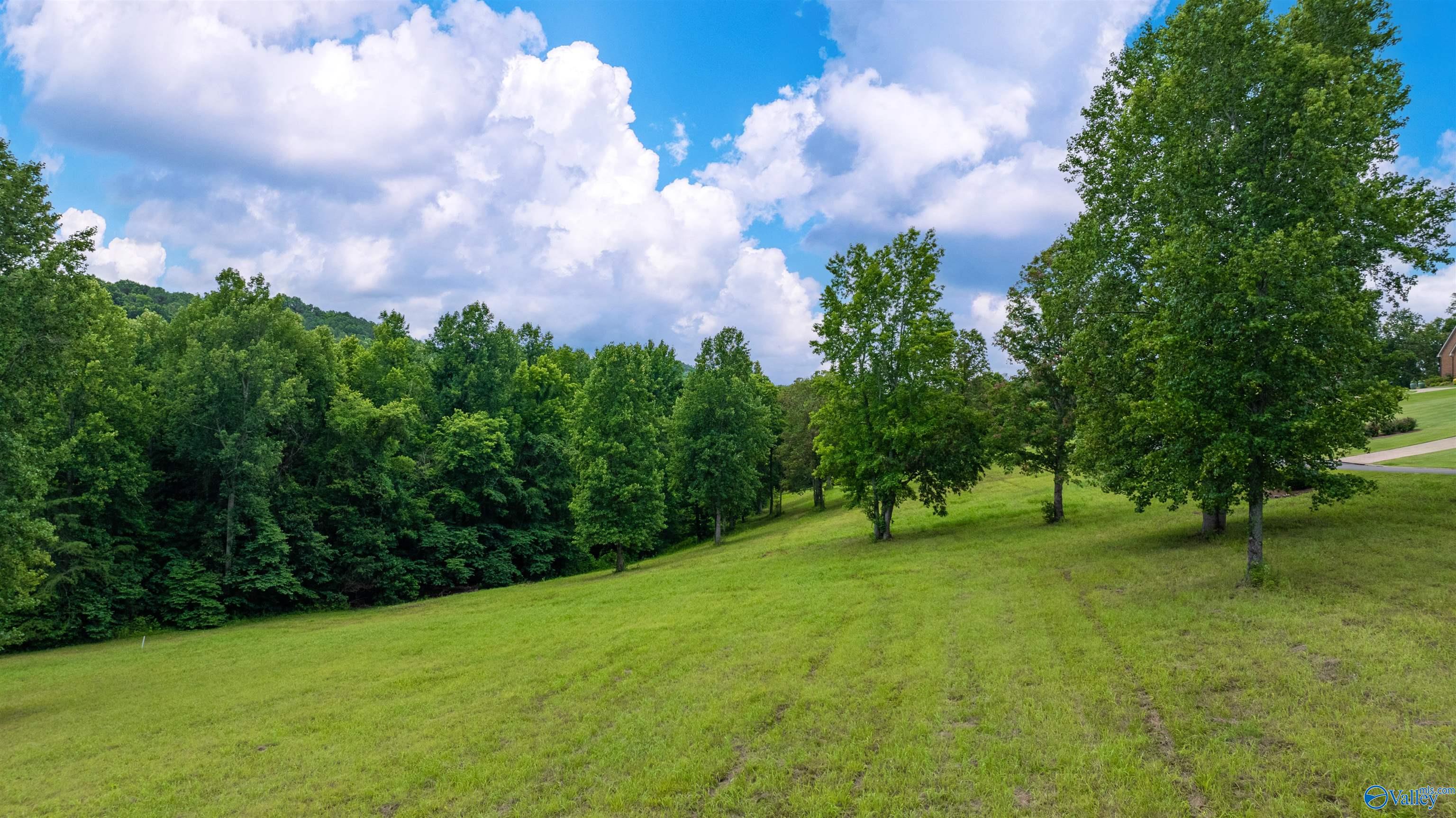 Lot 22 County Road 1027