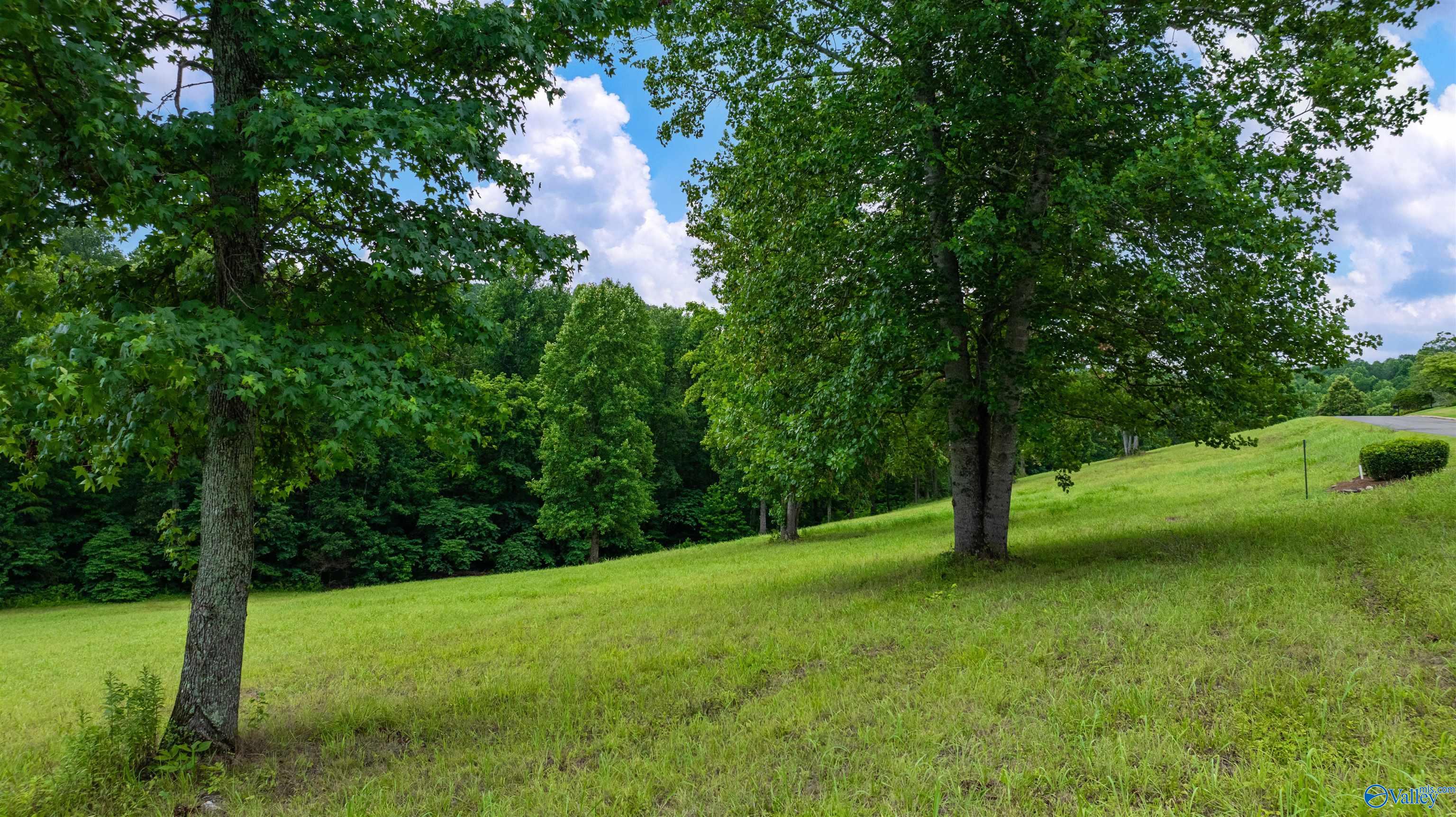 Lot 22 County Road 1027