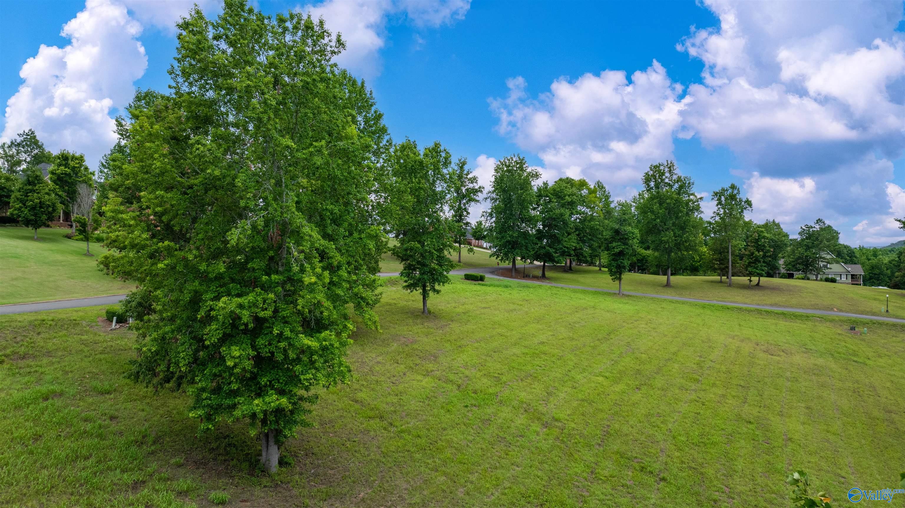 Lot 22 County Road 1027