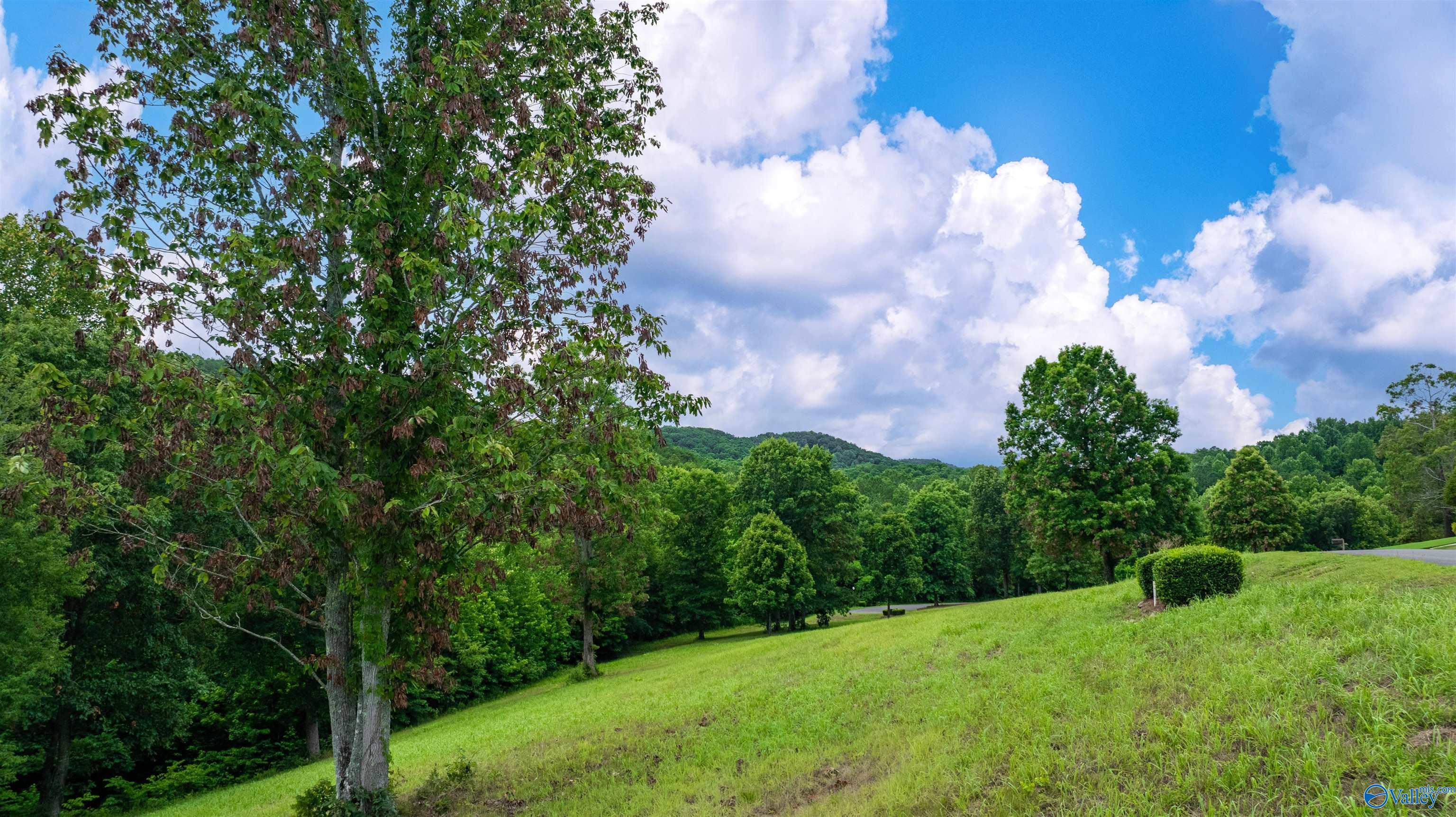 Lot 22 County Road 1027